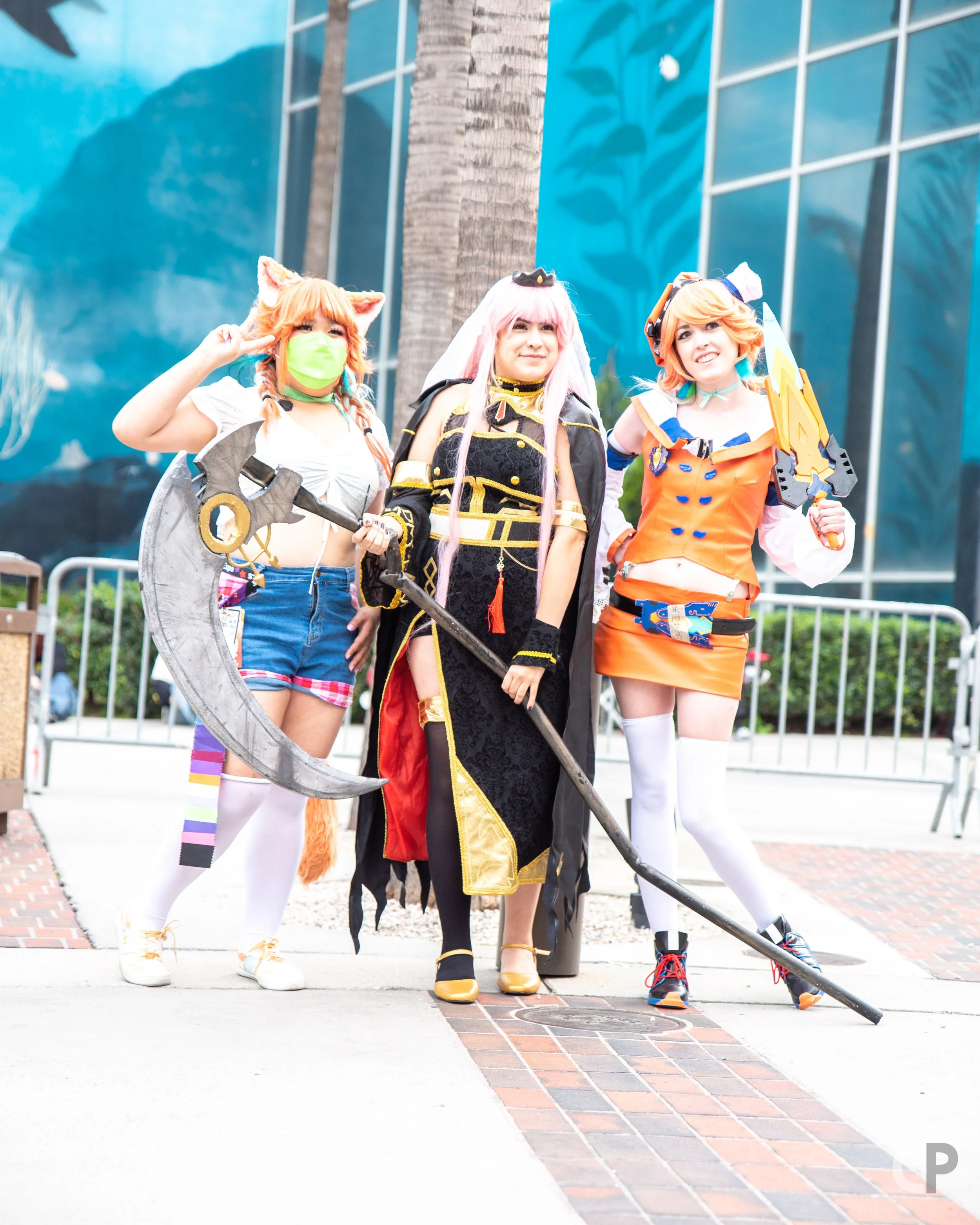 DSC_6538.jpg