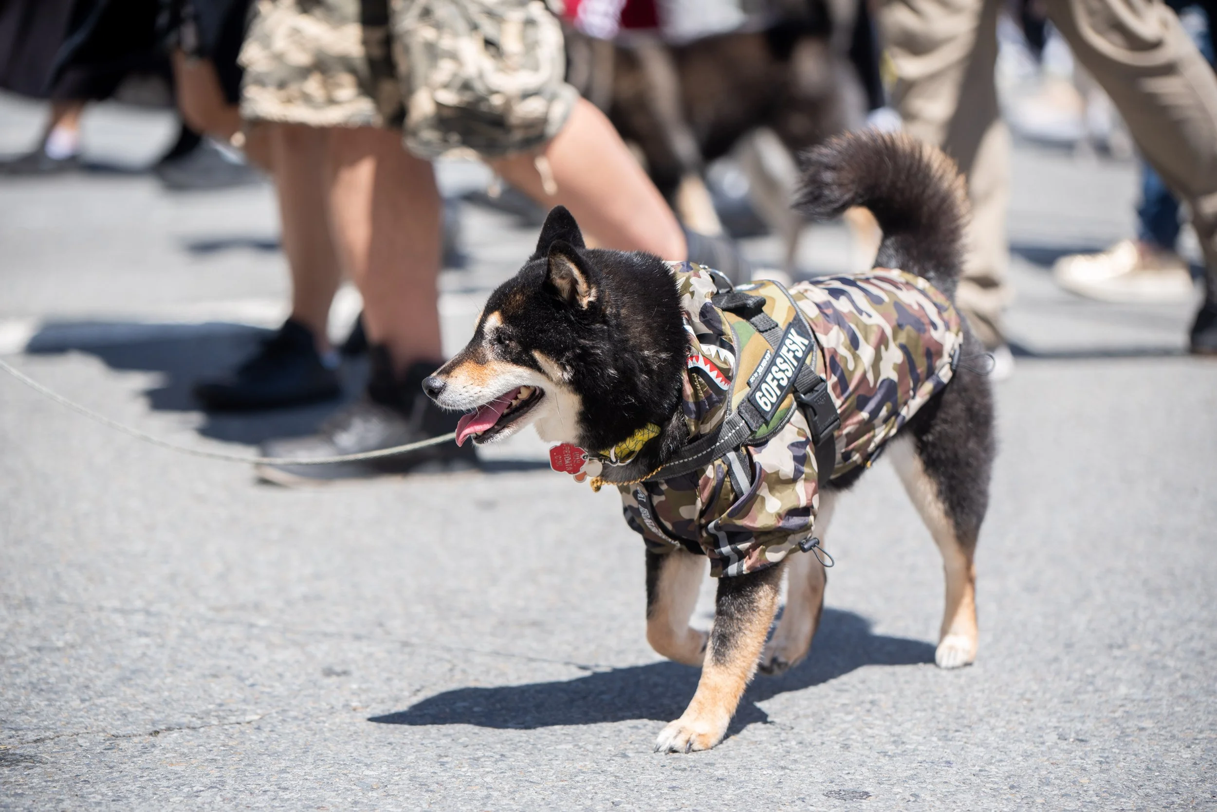 DSC_5397.jpg