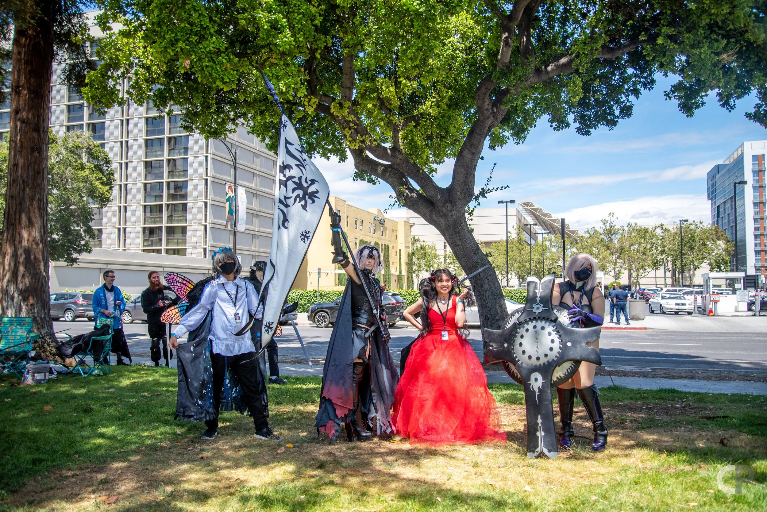 DSC_8508.jpg