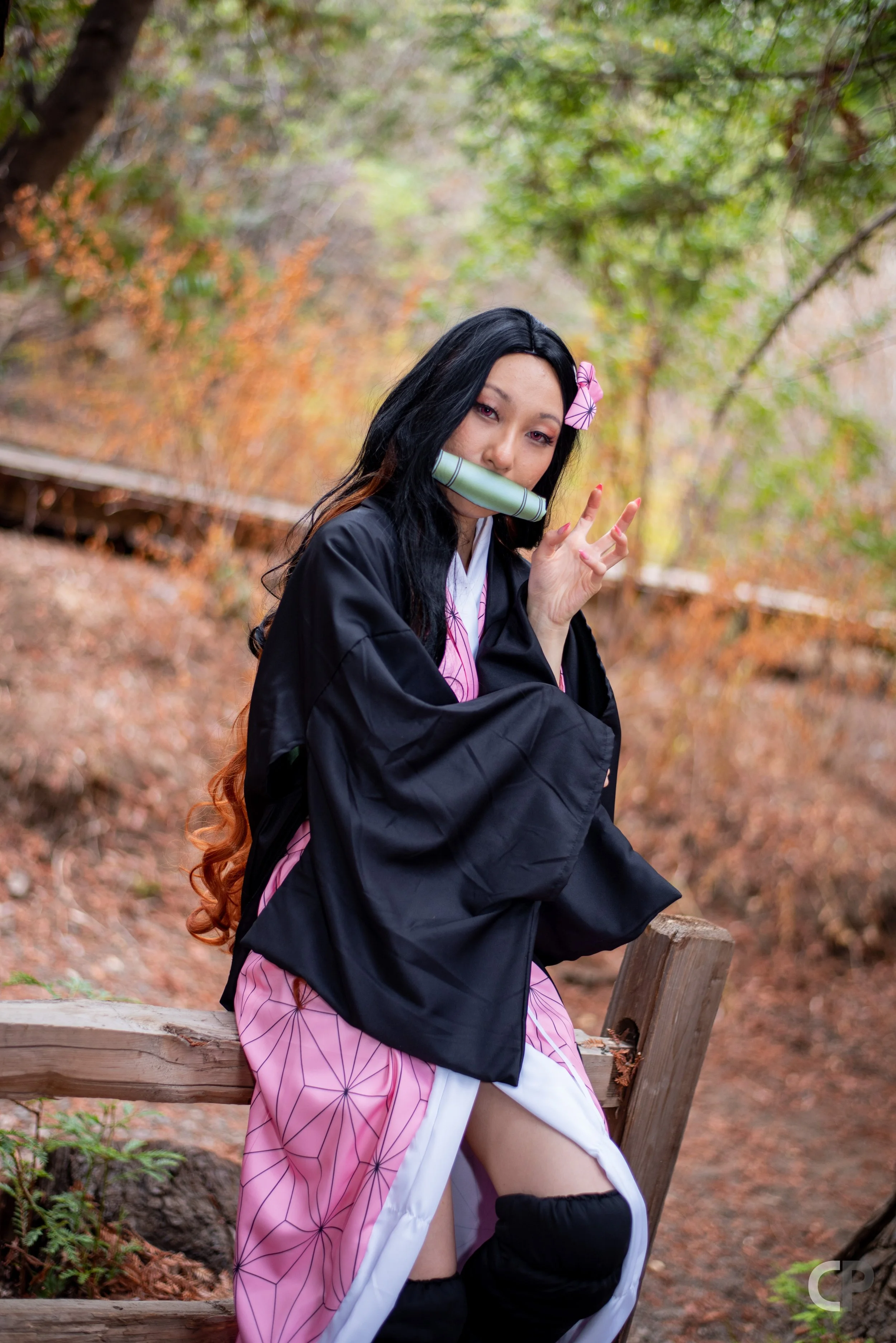 DSC_7474.jpg