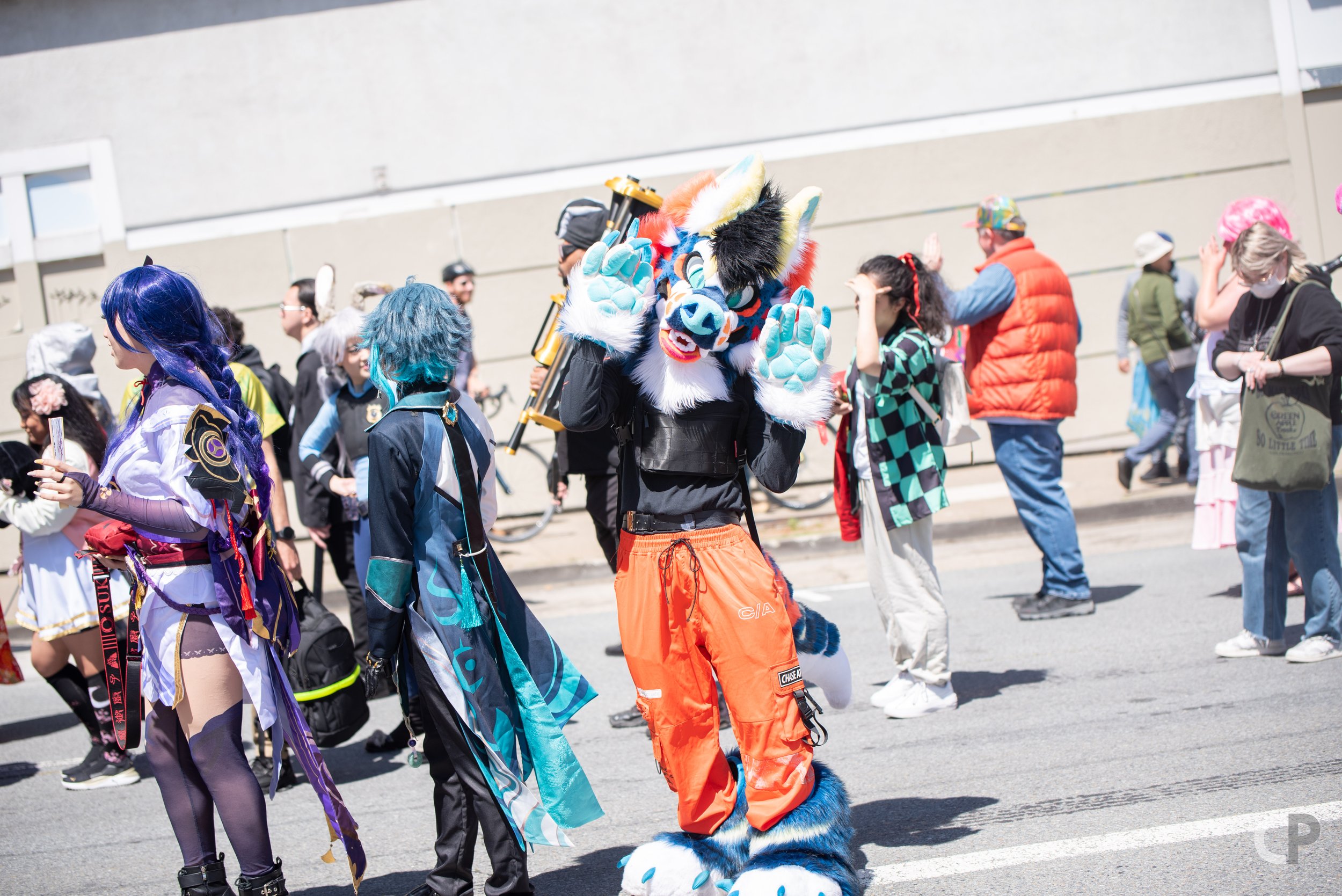 DSC_5743.jpg