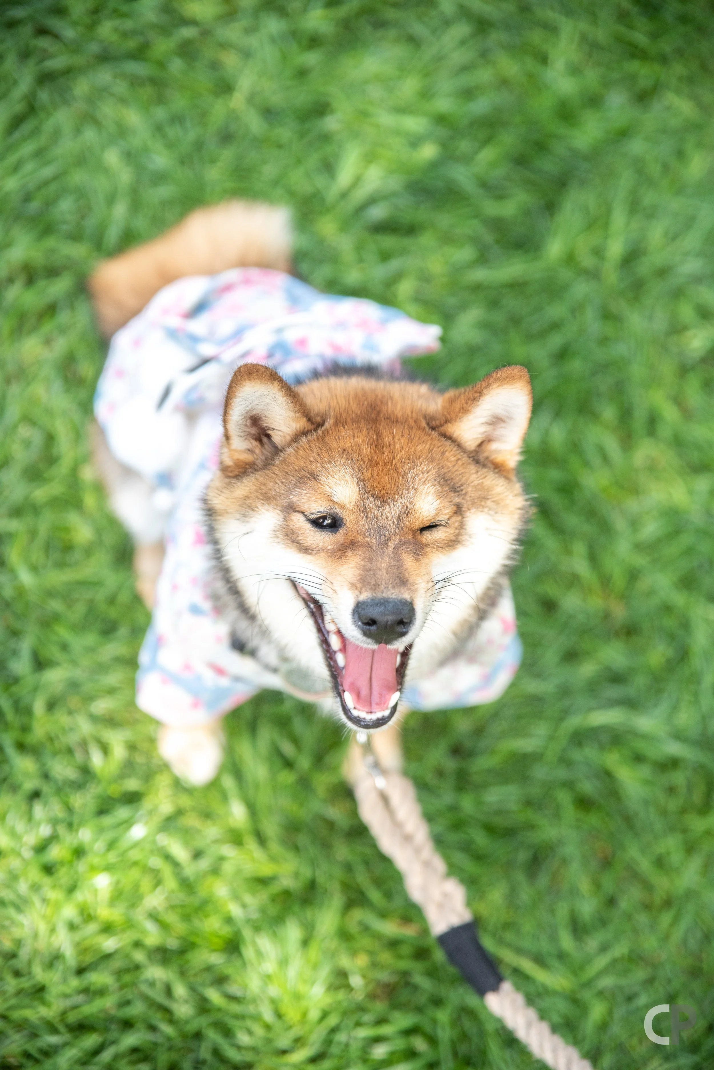 DSC_9671.jpg