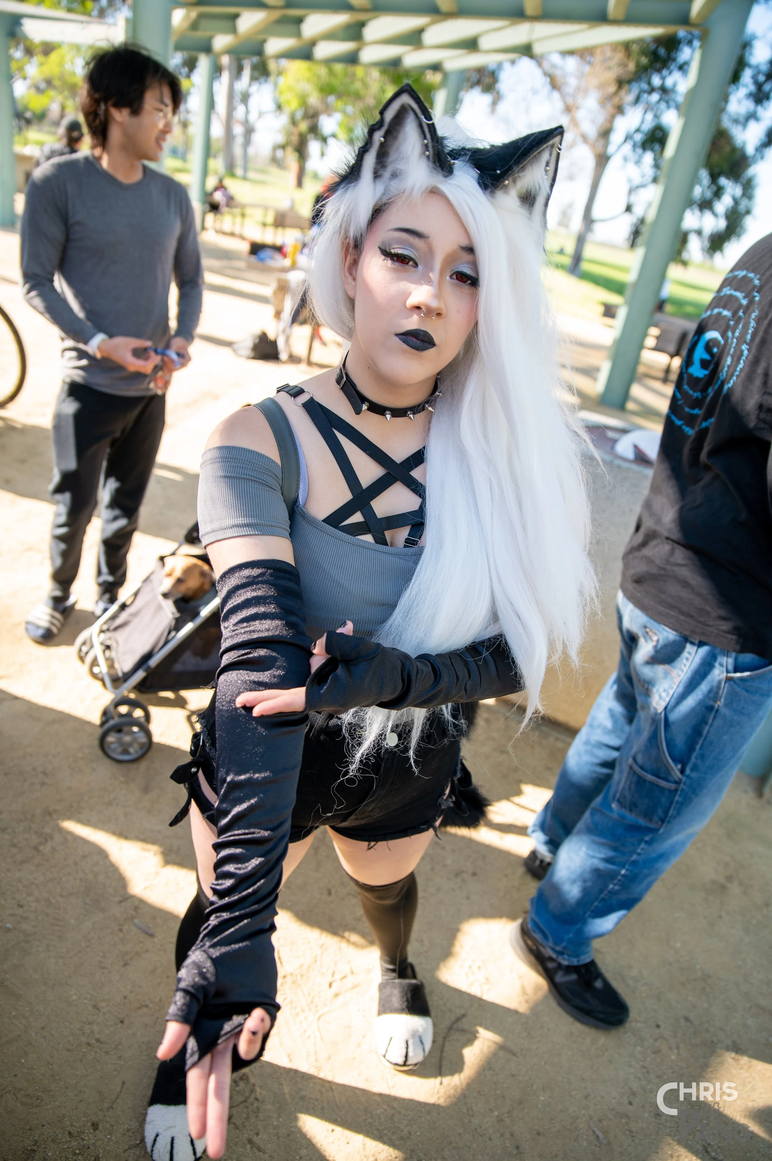 Z62_6650.jpg