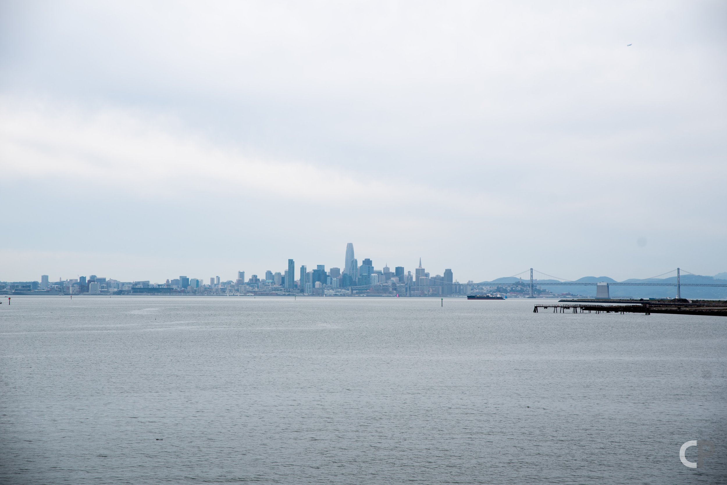 DSC_1062.jpg
