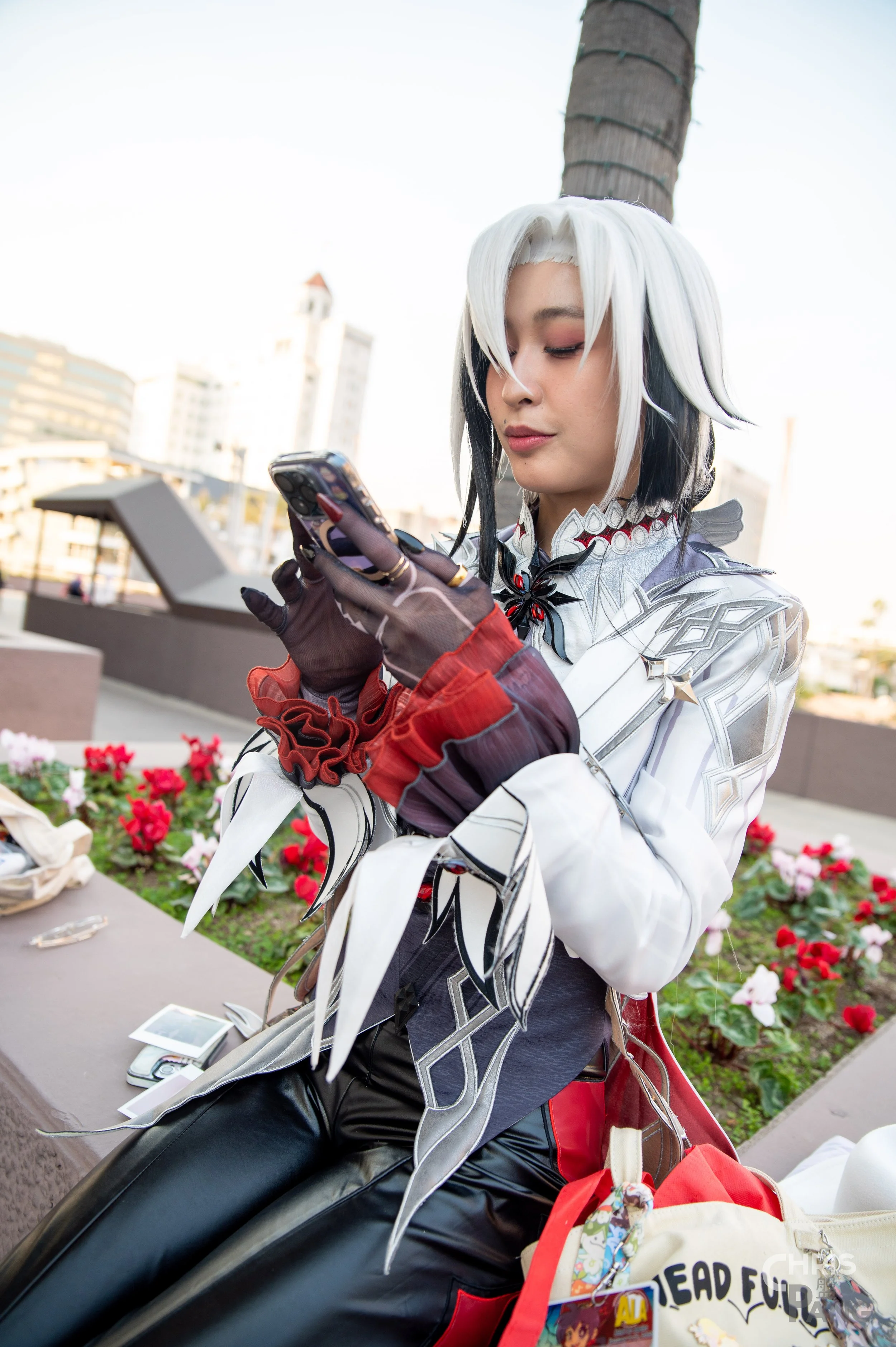 Z62_4276.jpg