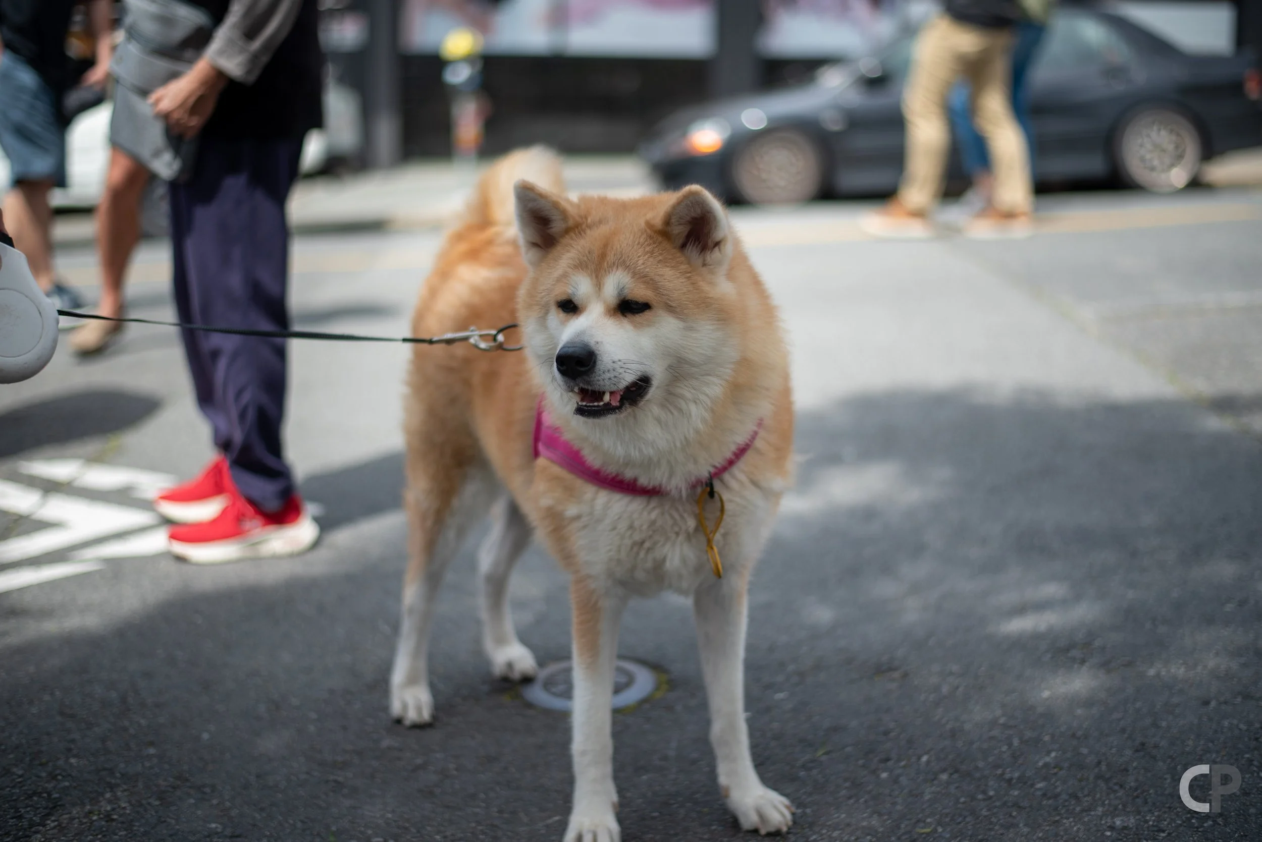 DSC_3795.jpg