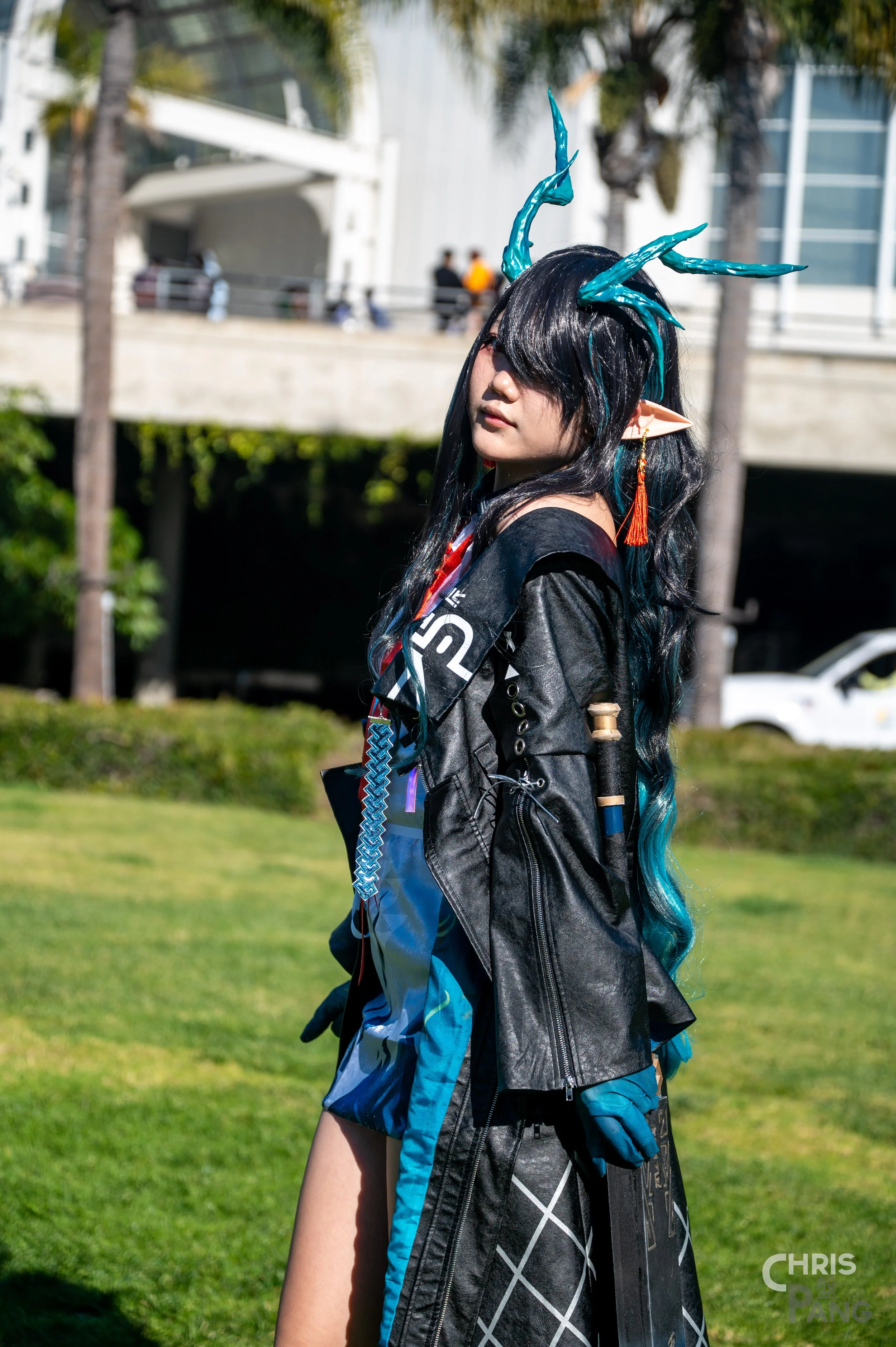 Z62_3760.jpg