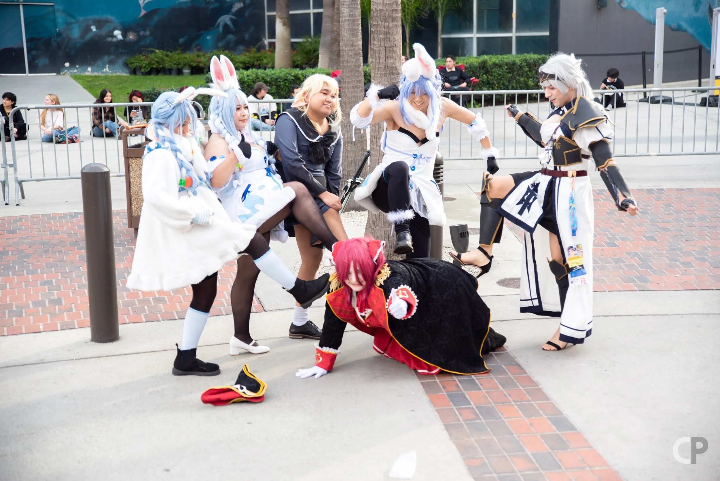 DSC_6281.jpg