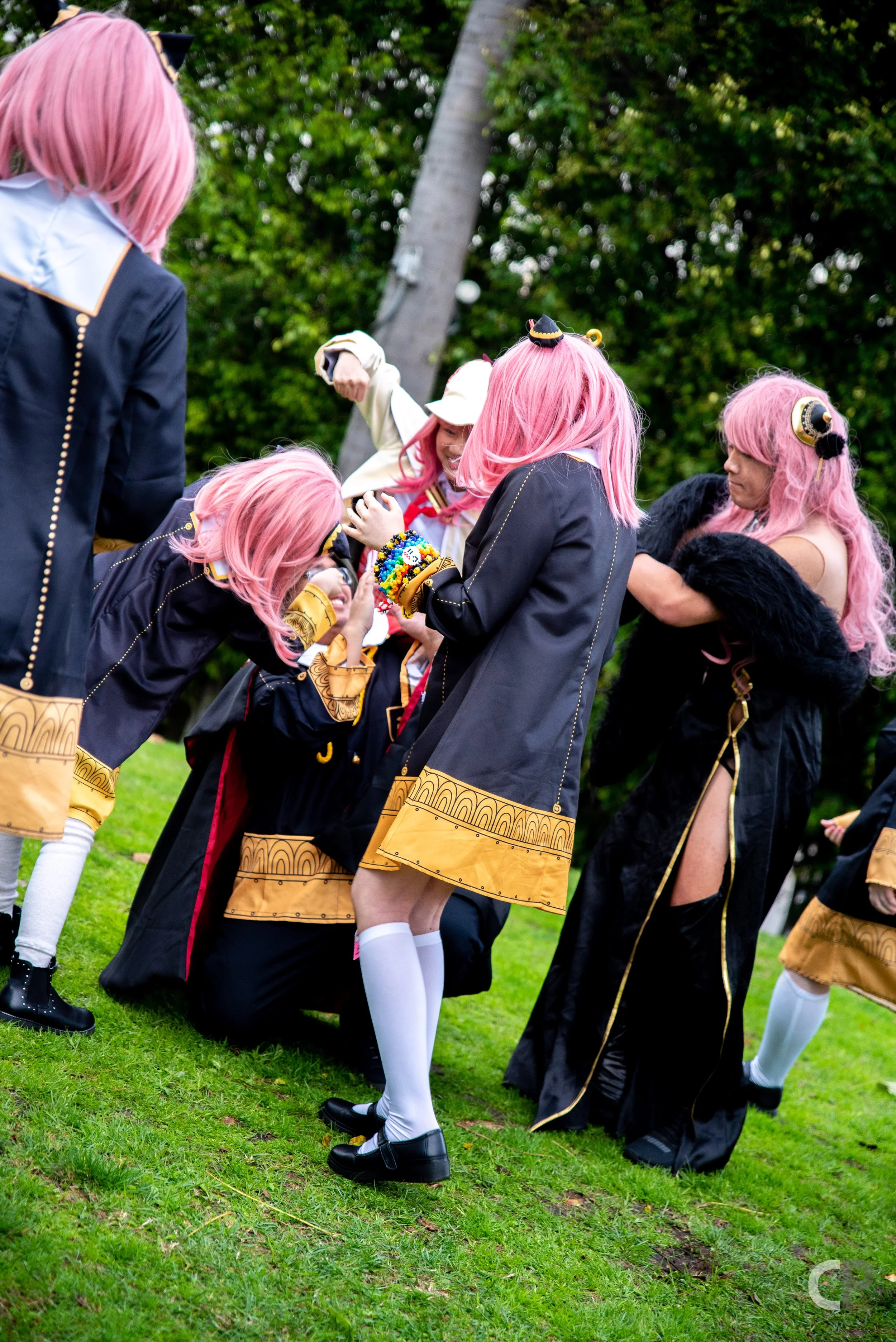 DSC_6802.jpg