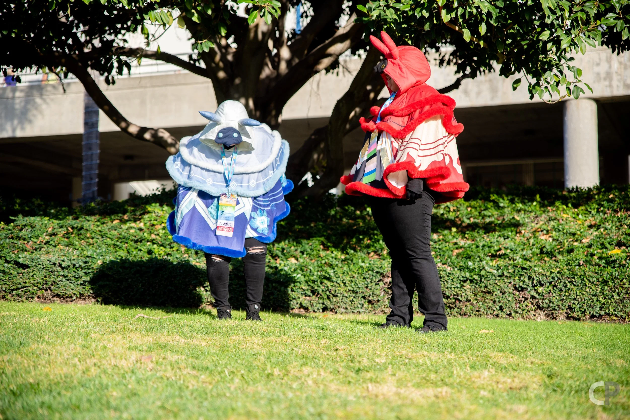 DSC_5143.jpg