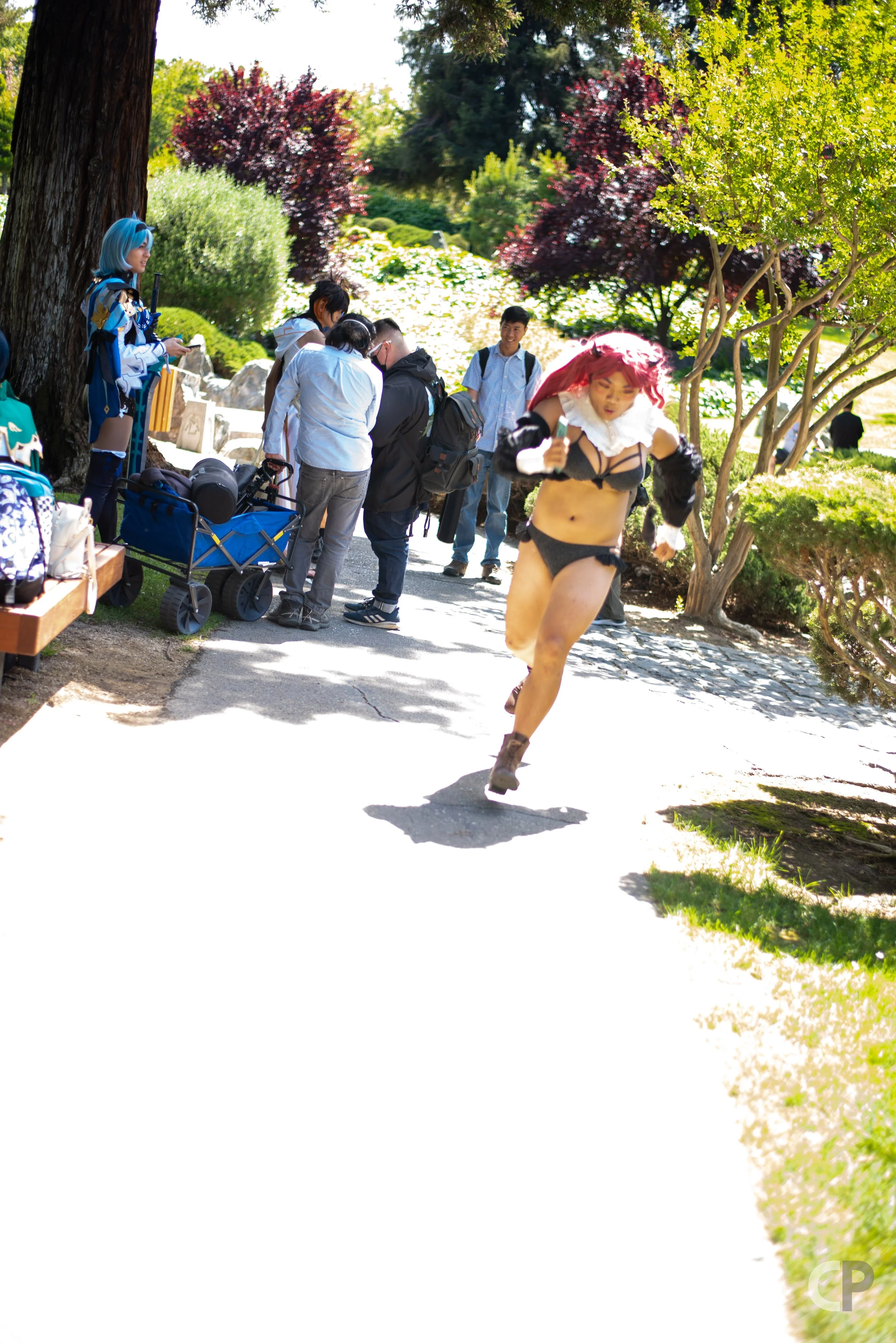 DSC_6729.jpg