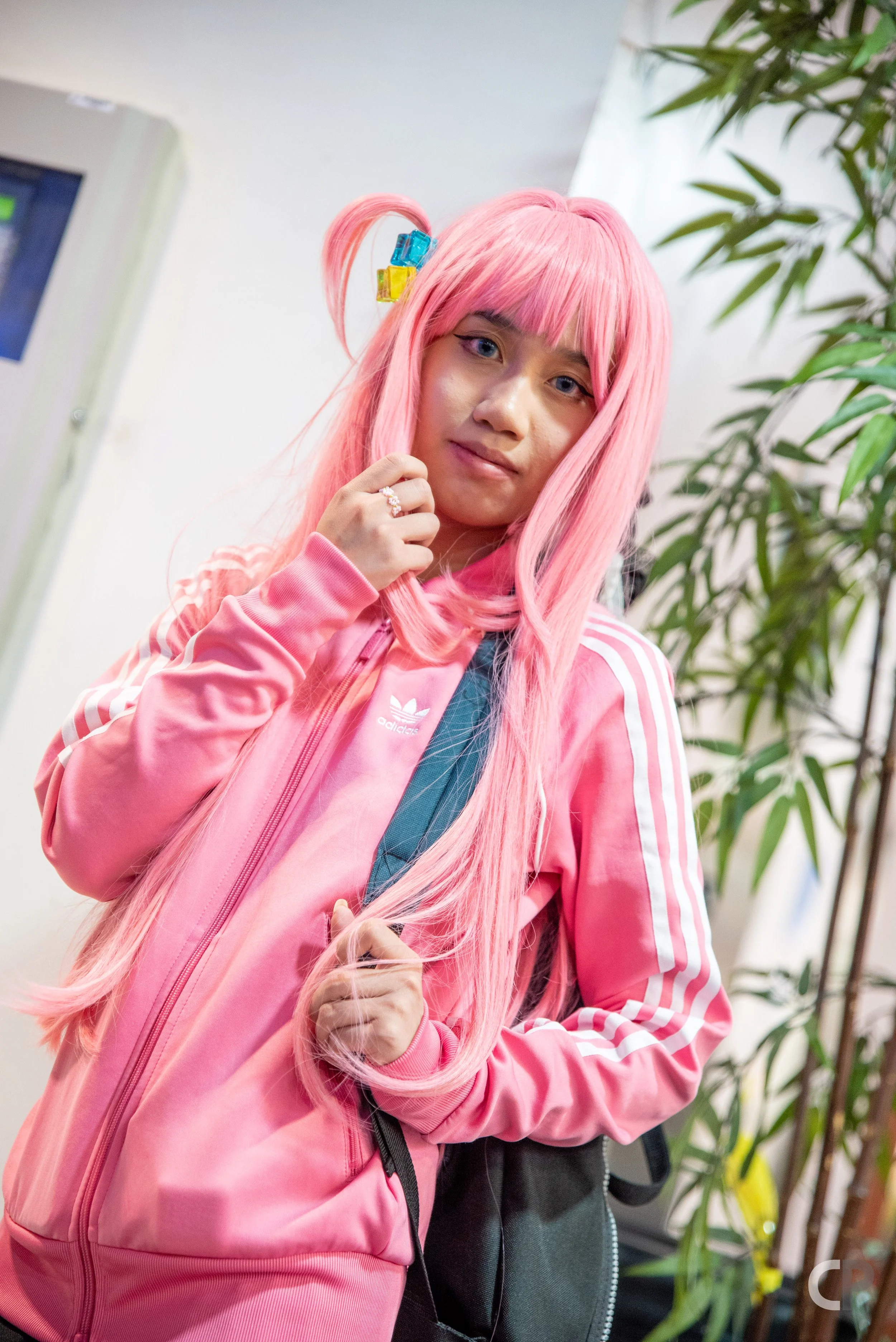 DSC_6610.jpg