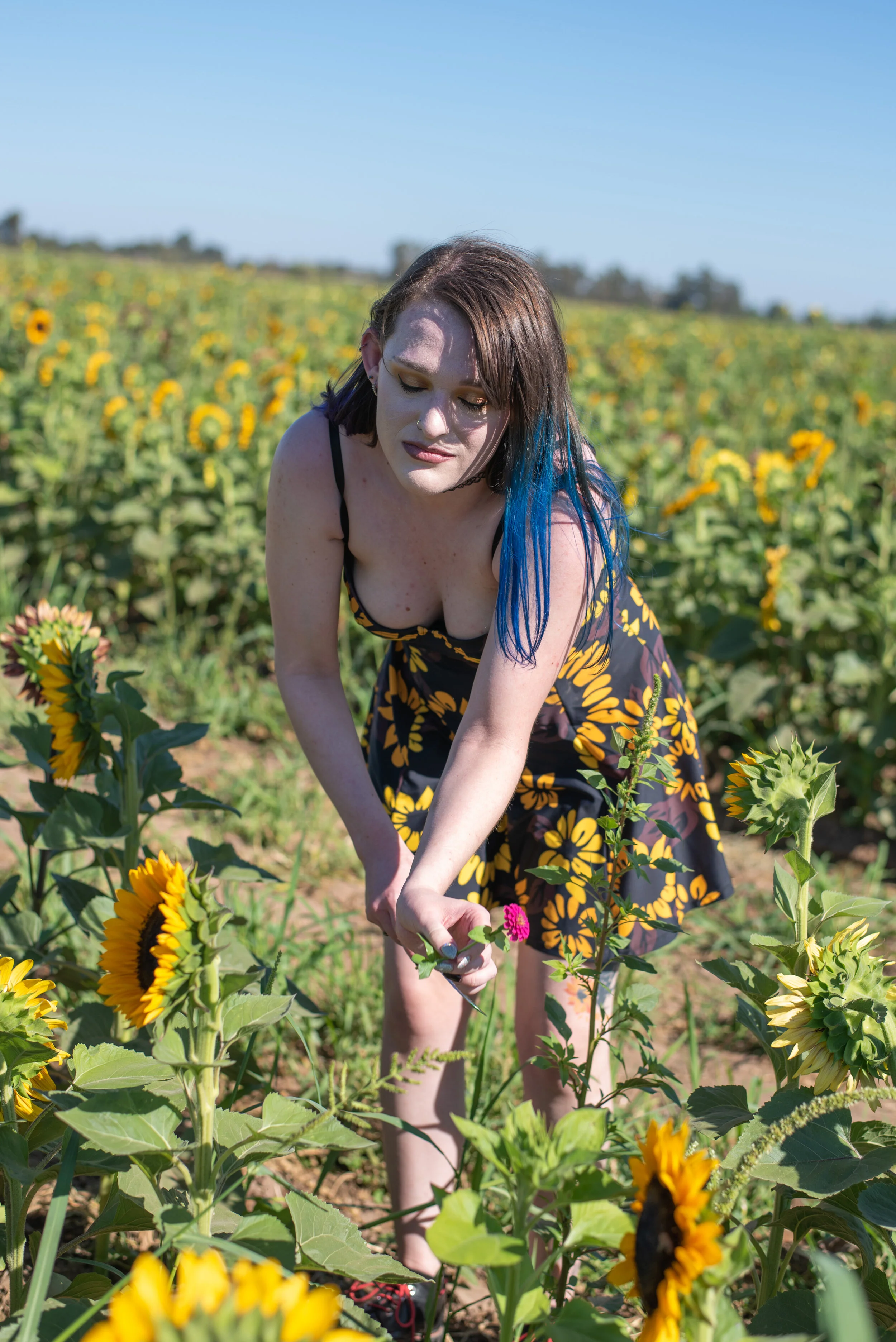 DSC_3222 edit v1.jpg