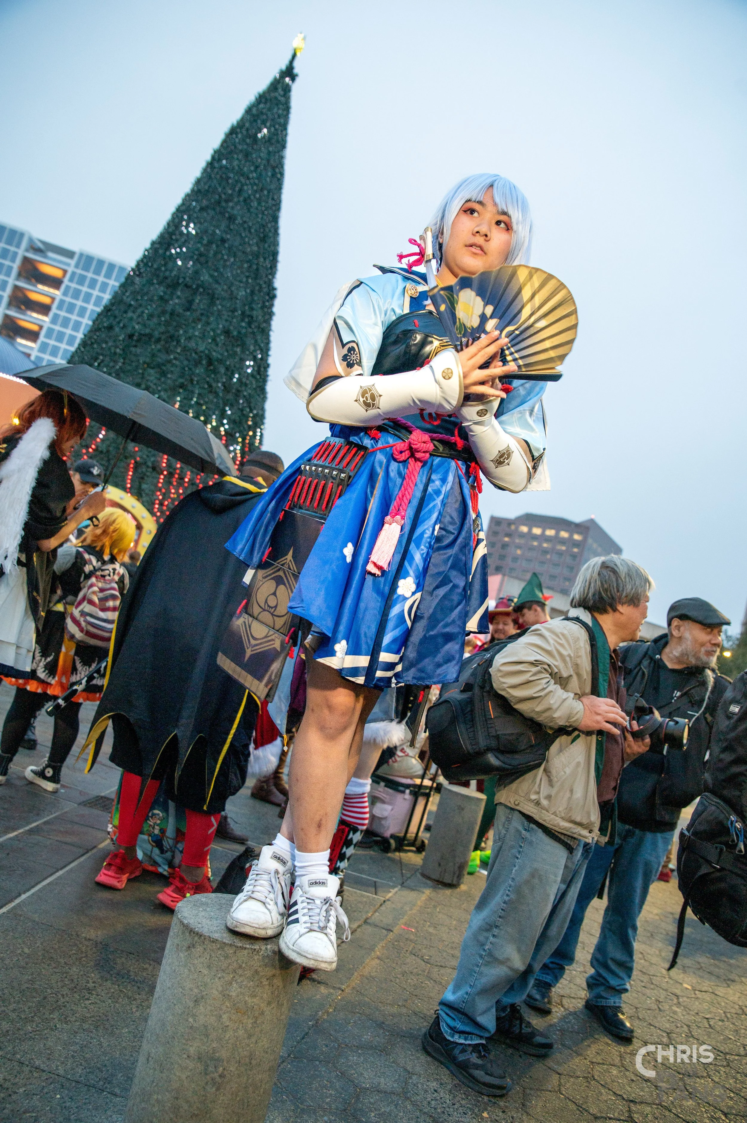 Z62_7822.jpg