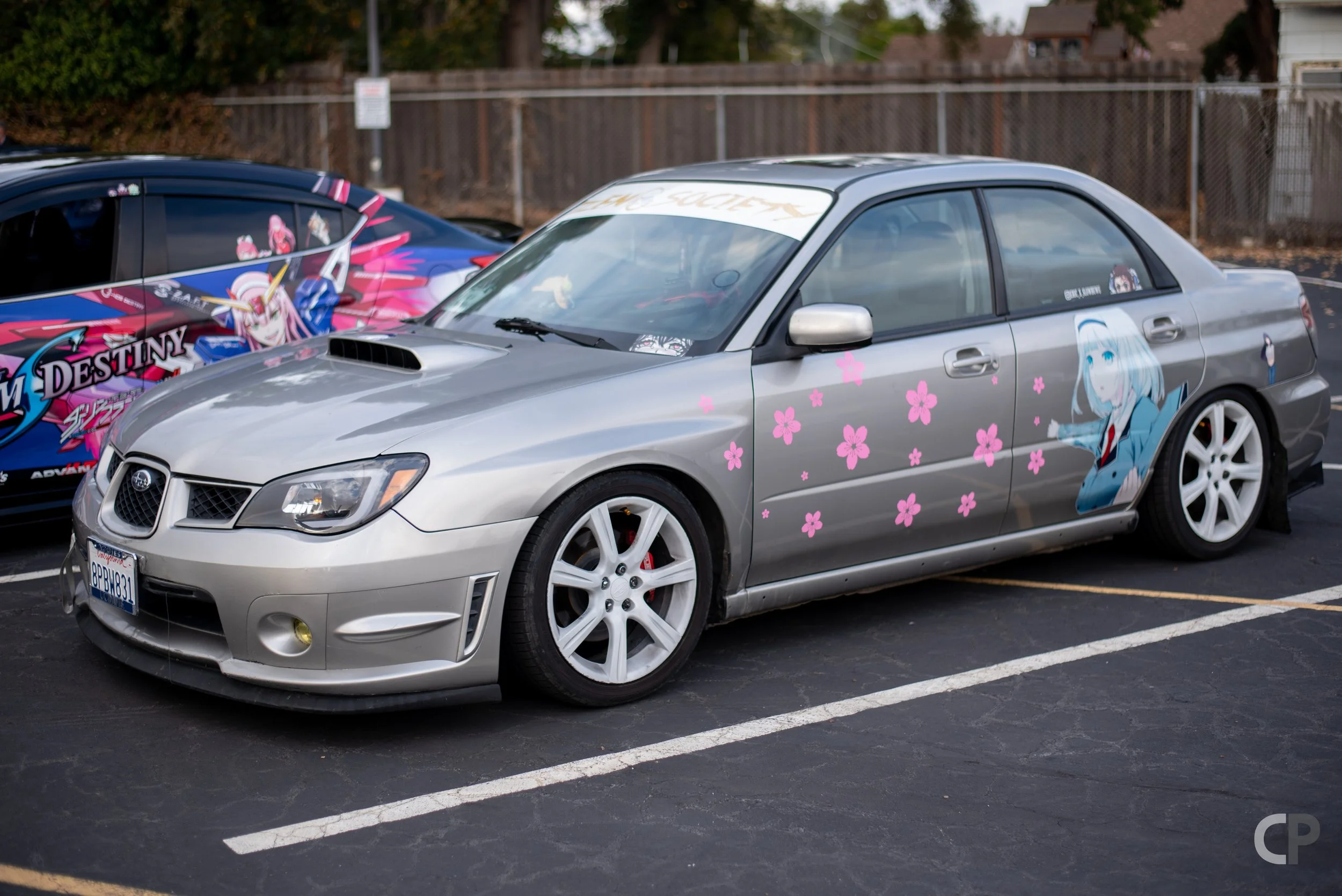 DSC_8726.jpg