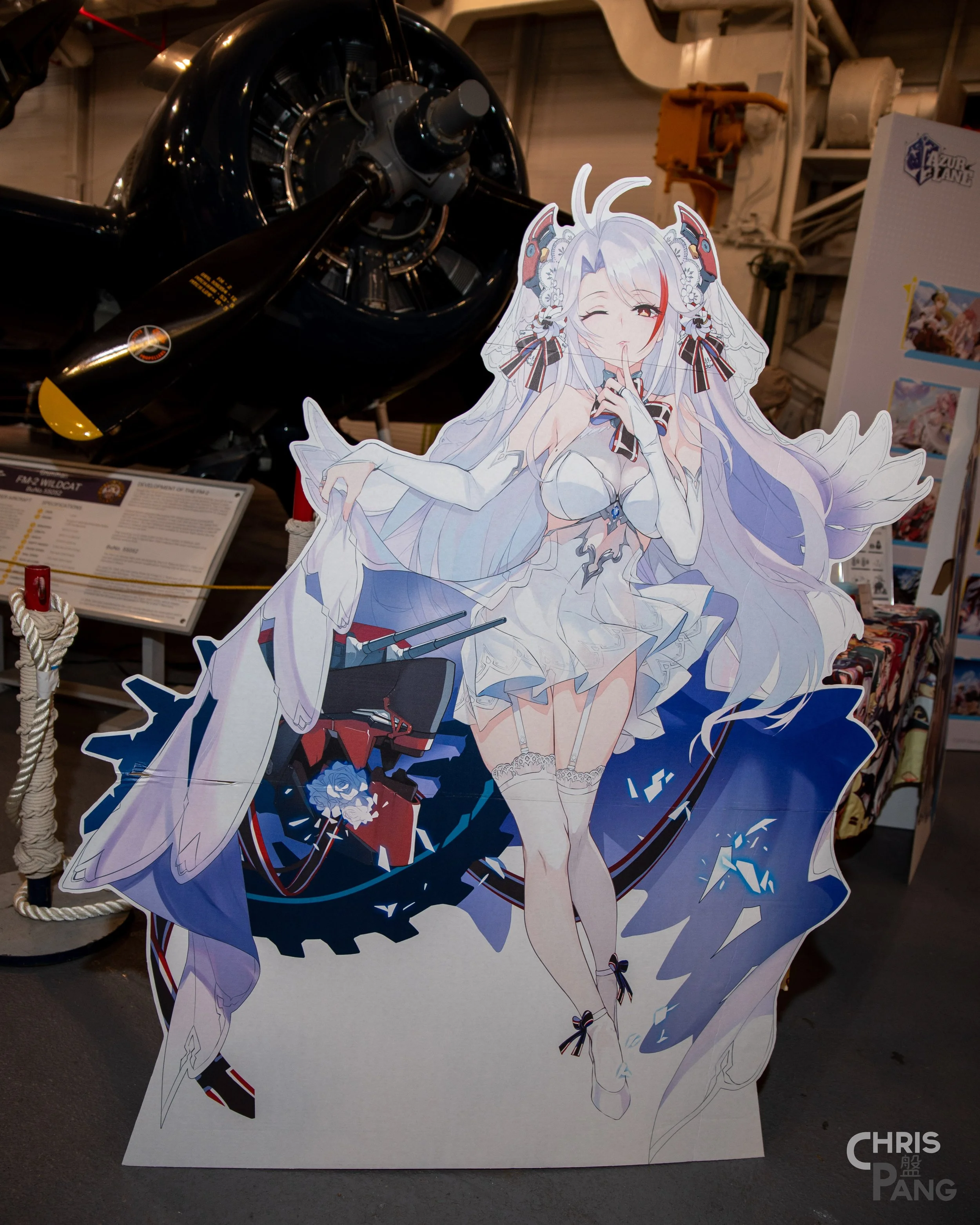 Z62_6360.jpg