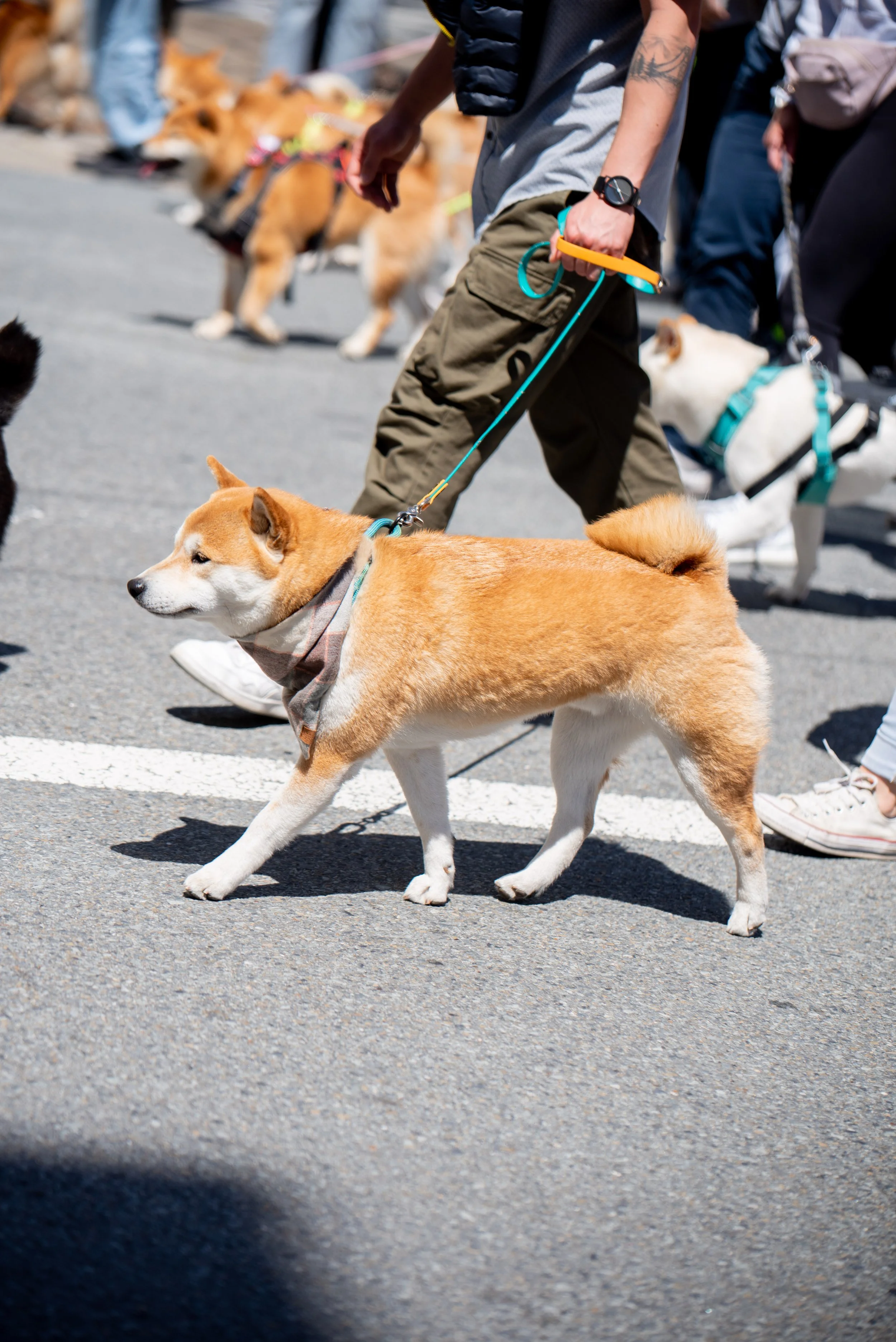 DSC_5395.jpg