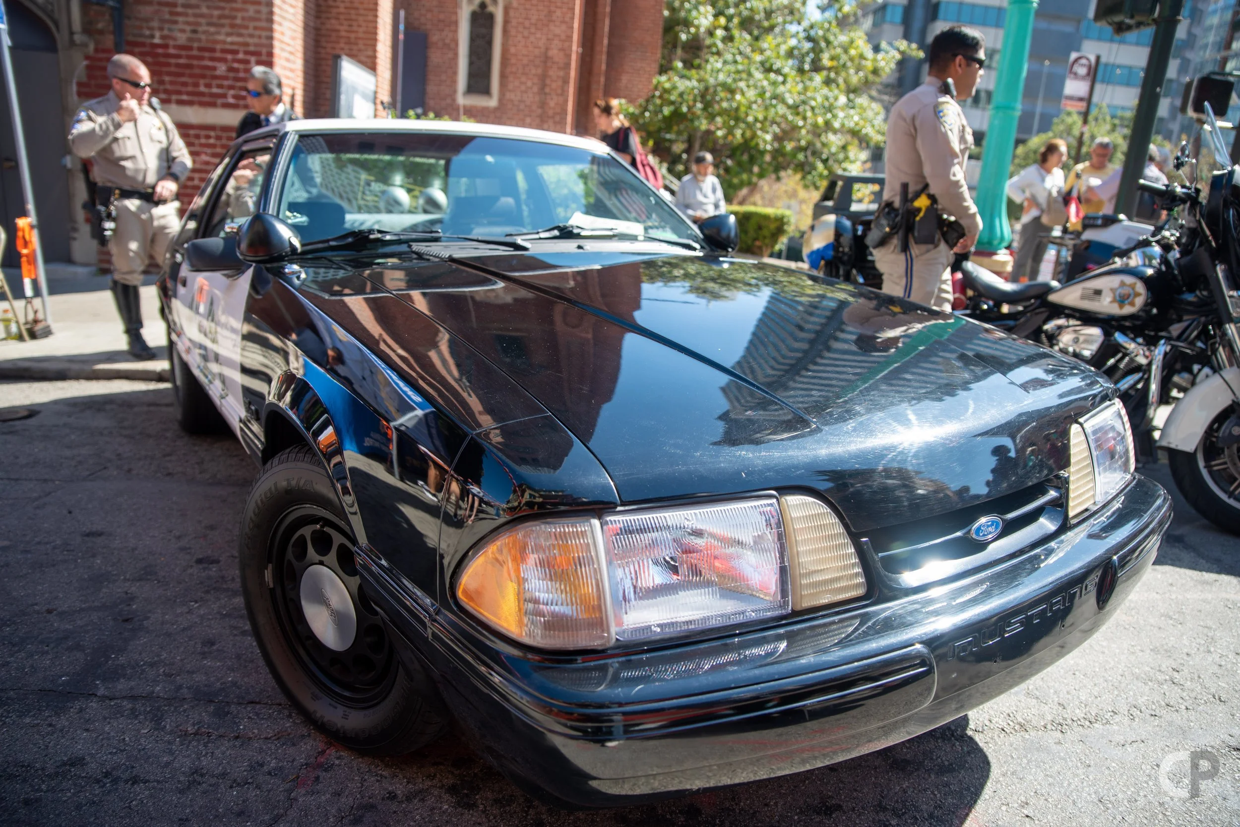 DSC_9392.jpg