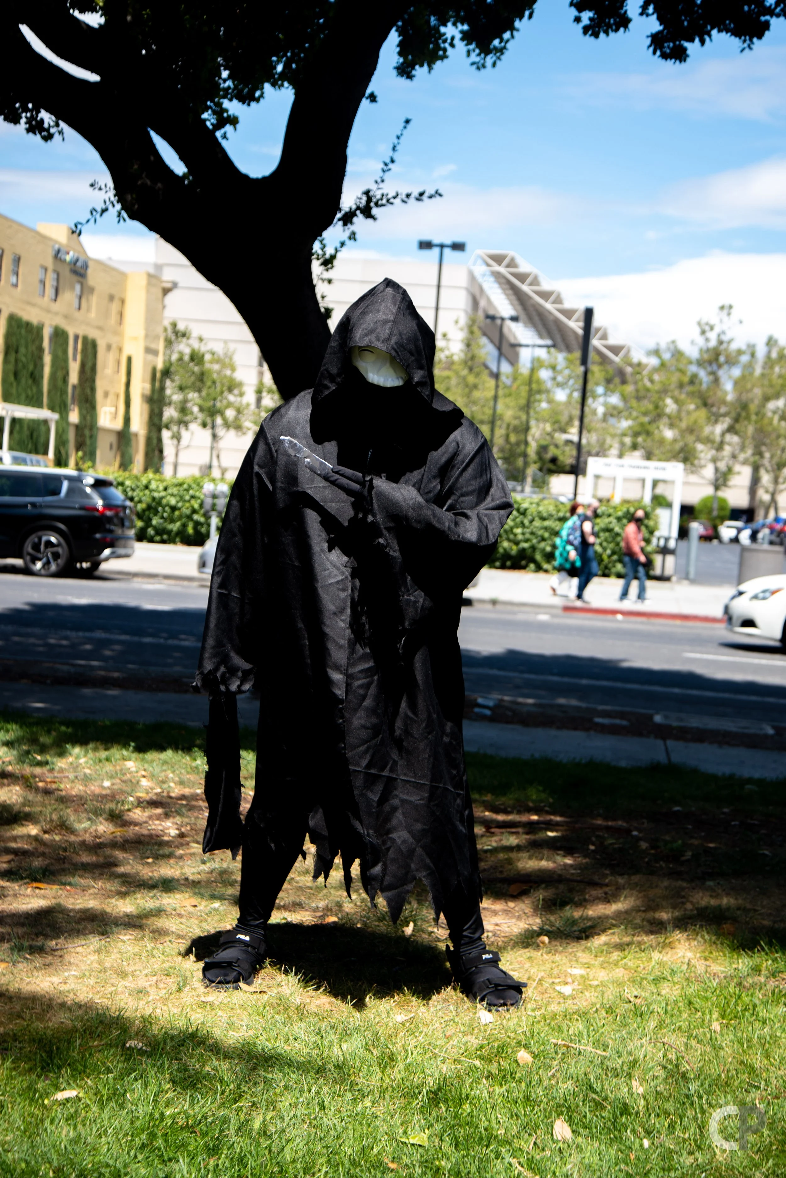 DSC_8473.jpg