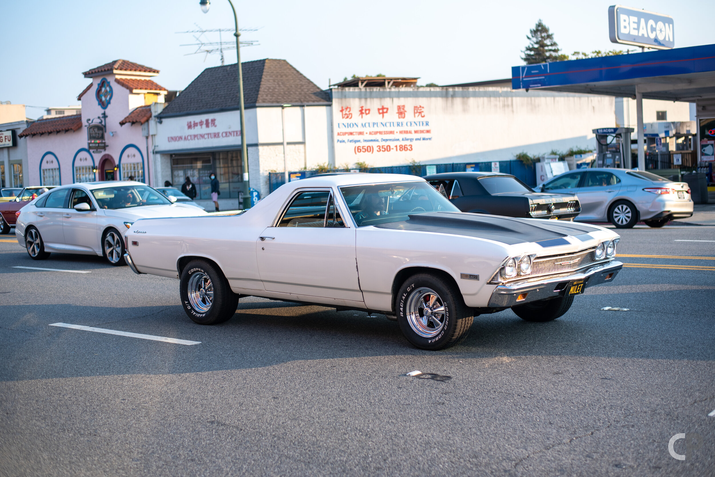 DSC_4872.jpg