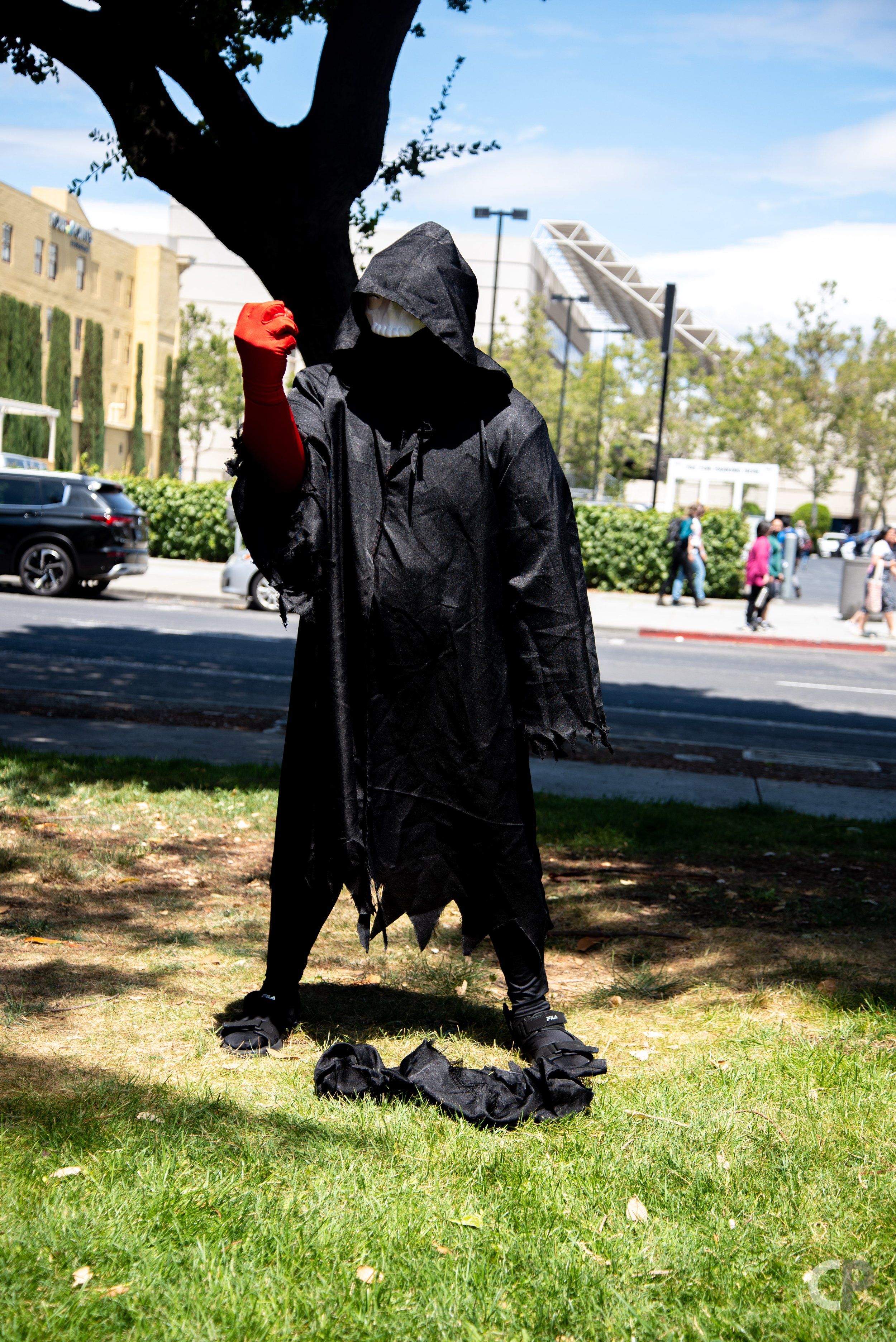 DSC_8479.jpg