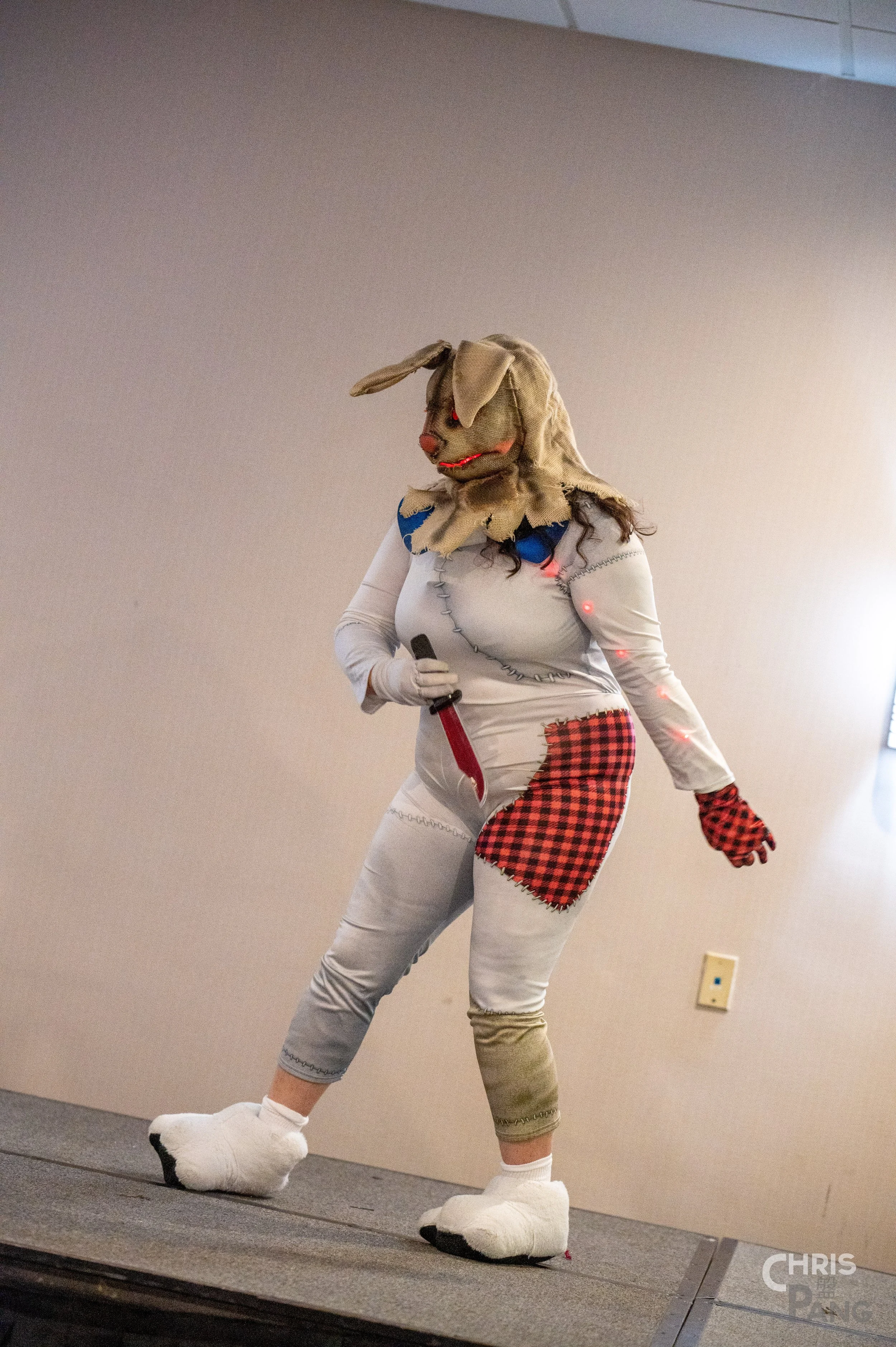 Z62_1181.jpg