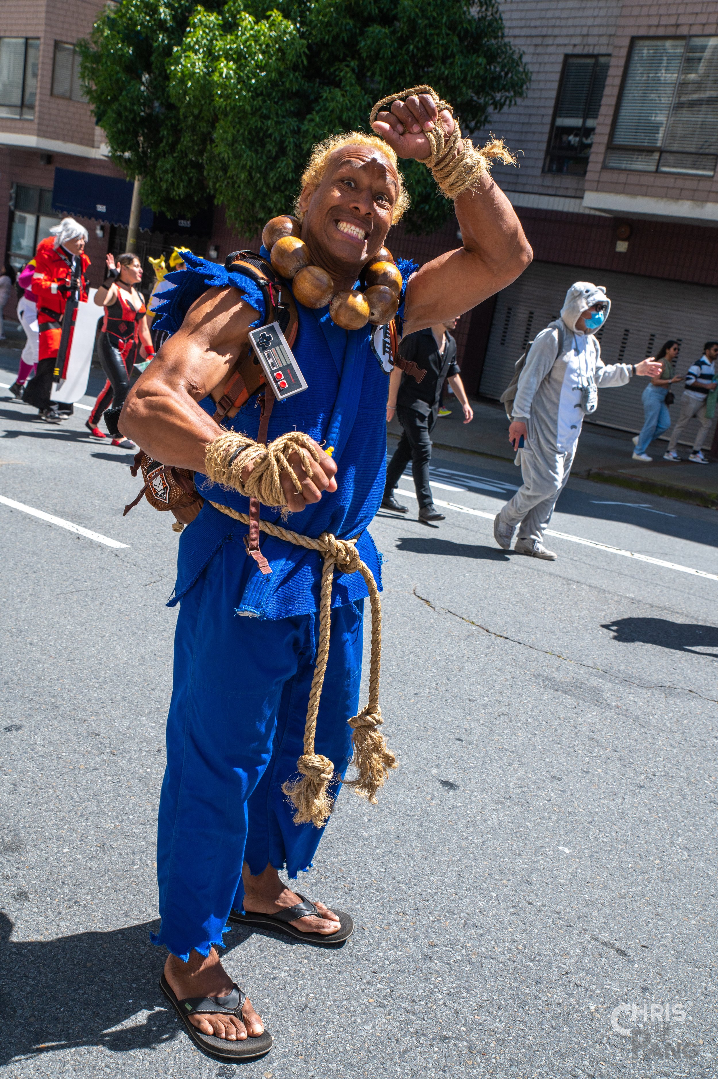Z62_3311.jpg