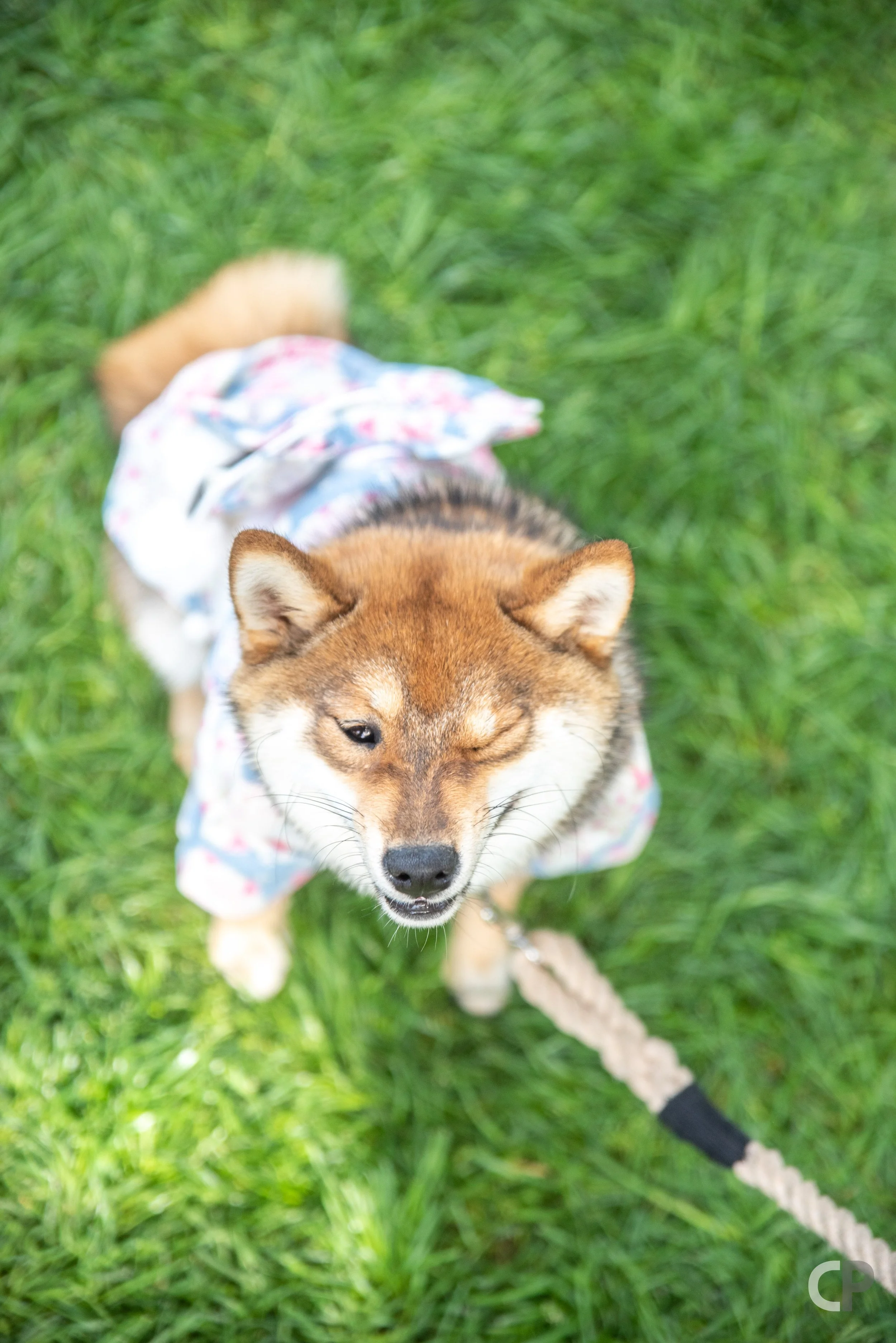 DSC_9672.jpg