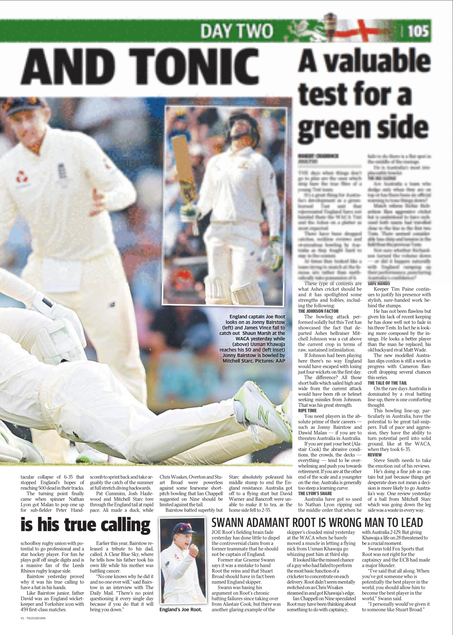 Cricket players during a match, one diving to catch the ball, another looking on, with a crowd in the background.
