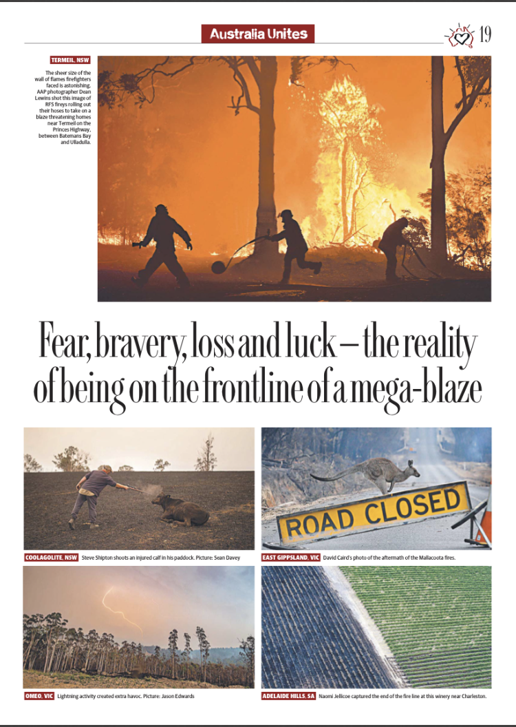 Four images related to Australia’s bushfires. The top image shows silhouetted firefighters battling a large wildfire with intense flames and smoke among trees. The second image depicts a person shooting an injured calf in a burned landscape. The thir