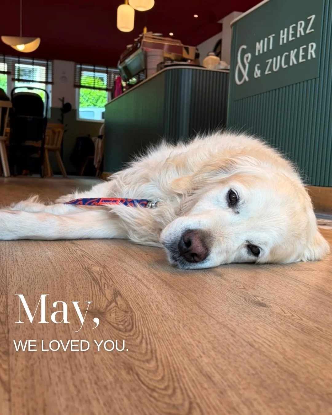 May, we loved you. 🧡

Erdbeeren selbst pfl&uuml;cken, Erdbeerkuchen backen, kleine und gro&szlig;e Caterings und viele sonnige Tage mit euch.

Ein paar Momente aus unserem Mai, die wir festhalten wollten.