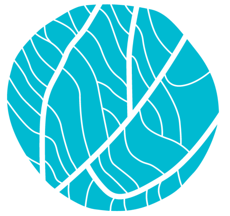 New Retina Specialists Website