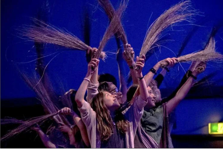 The Shearwater Festival, 2015