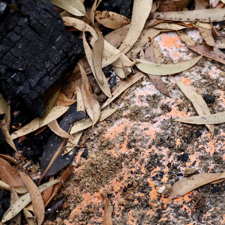 Creative Arts Recovery (Copy) (Copy)