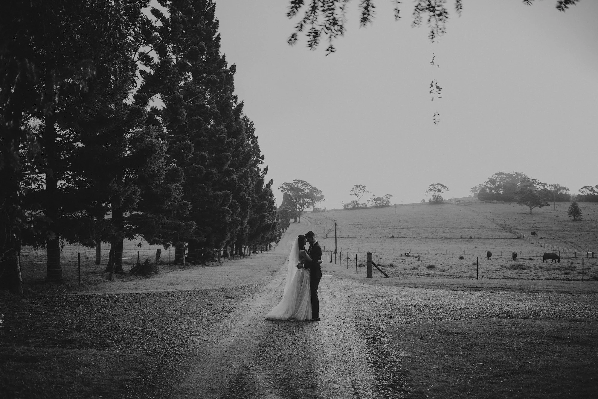 Rosewood-Estate-wedding-photographer3.jpg