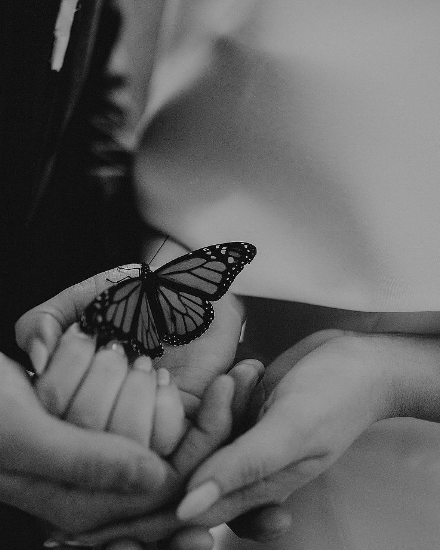 Release a butterfly and whisper a wish into the wind🦋
.
.
.
#goldcoastweddingphotographer #thevalleyestate #thevalleyestategc #byronbayweddingvenue ⁣⁣⁣⁣⁣⁣
#byronbayweddingphotographer #luxuryweddings #sunshinecoastweddingphotographer #byronbayphotog