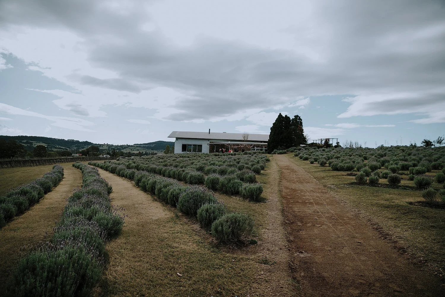 Kooroomba-wedding1.jpg