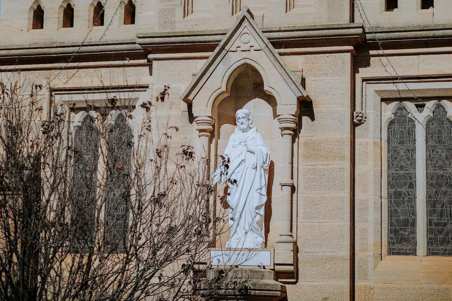 brisbane-wedding-photographer-35mm6.jpg