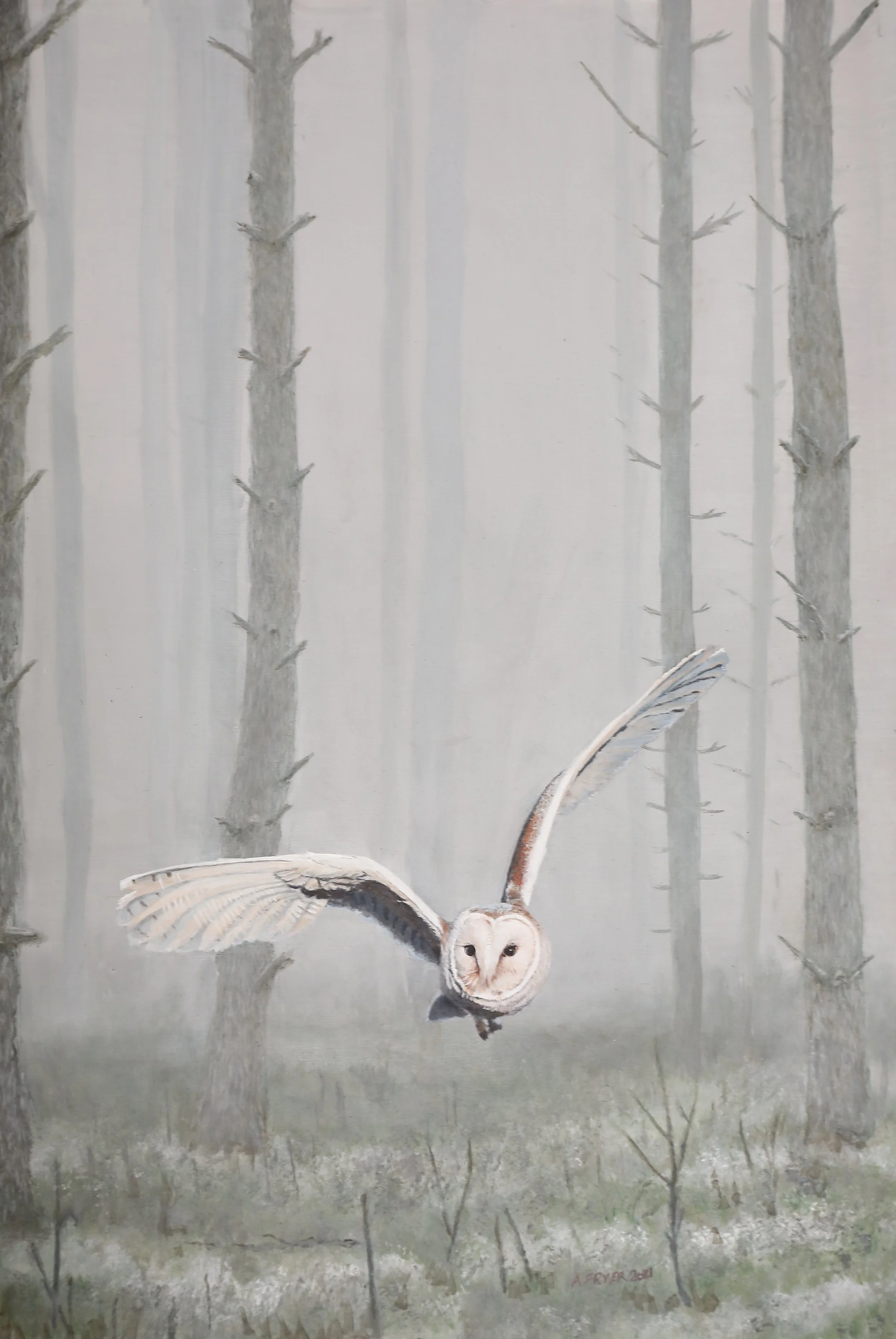 barn owl christmas 2021.JPG