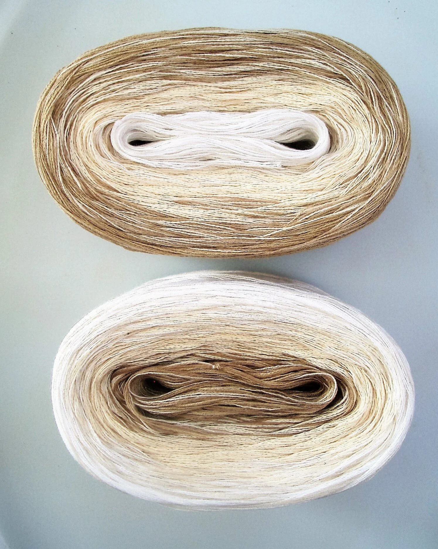 BLANCHE MEDLEY | Sport Weight | Color Changing Cotton yarn (100 gr /320 yards)