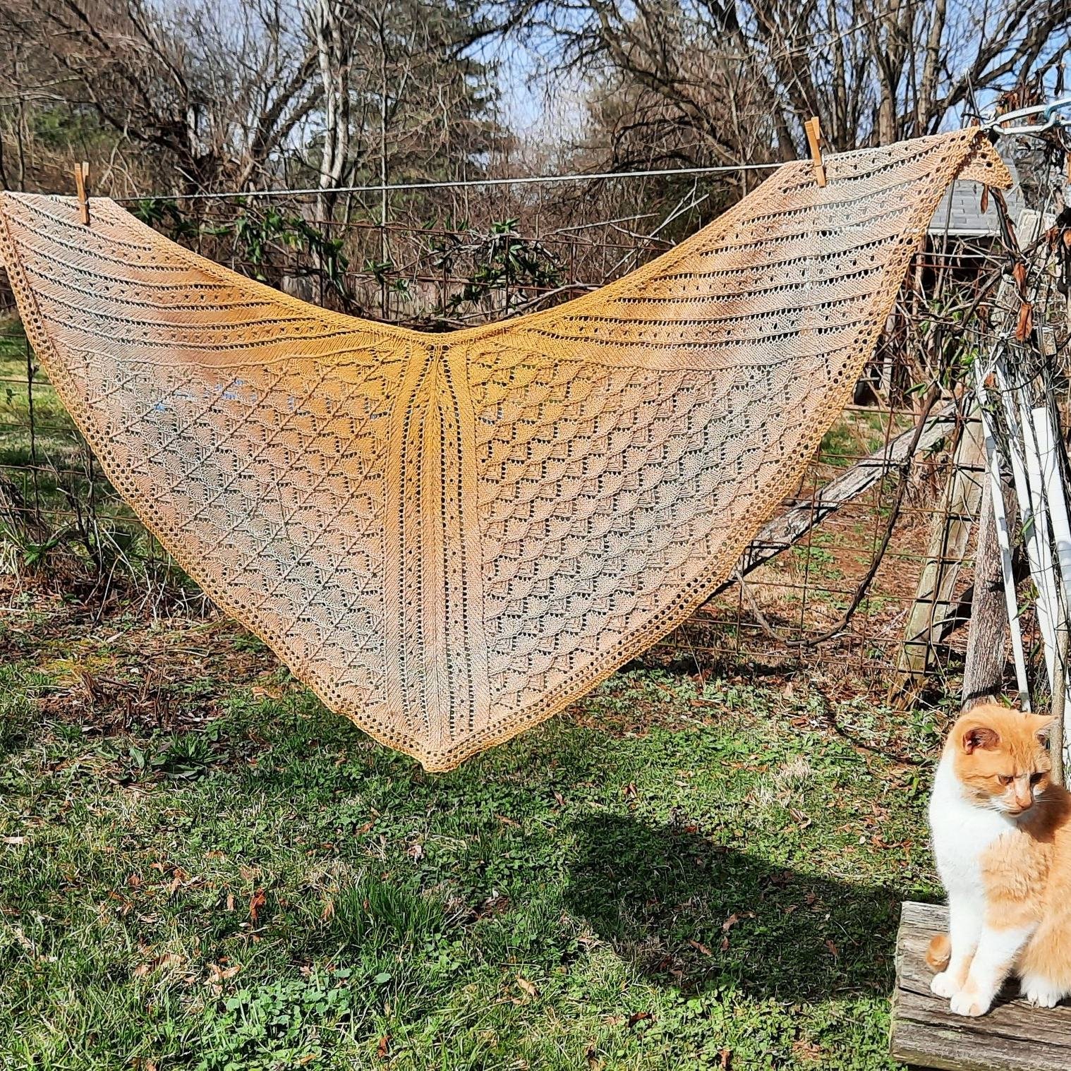 Aset Shawl (design by Tiziana Sammuri). 🌞Beautiful shawl in a very wearable shape. It is knitted in SAFFRON (2 x 100 gr). Thank you to Bitty for knitting this sample.  More color choices are online: wollesyarncreations.com  Order yours today. 🐱 The