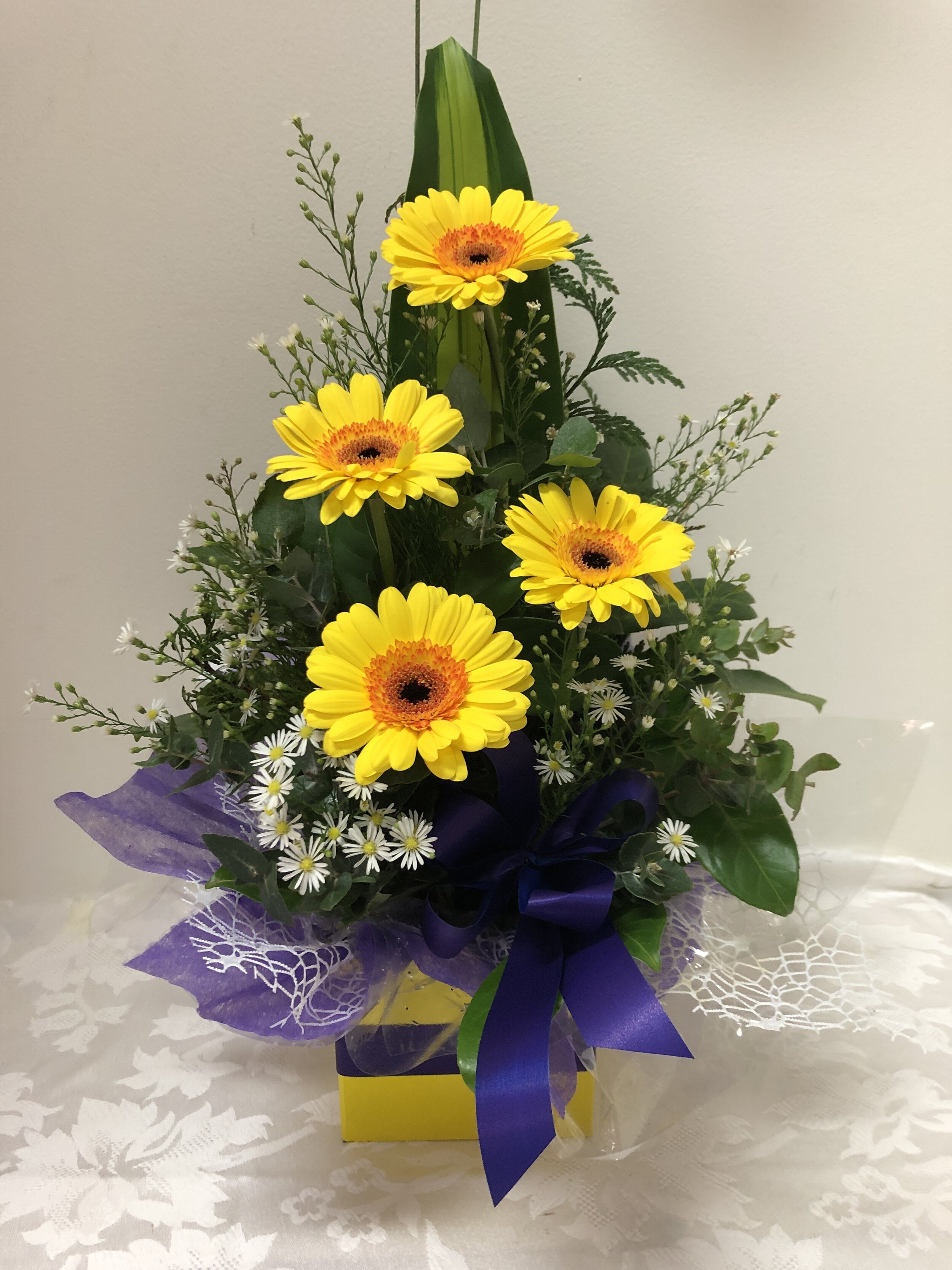 DAISY - BOX OF YELLOW GEBRAS 