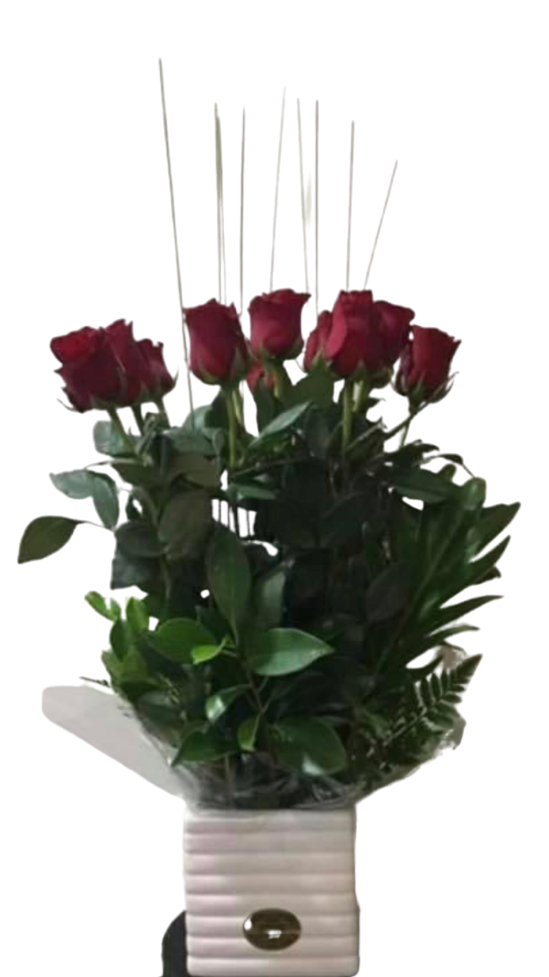 TRUDY - CERAMIC POT OF 12 ROSES 