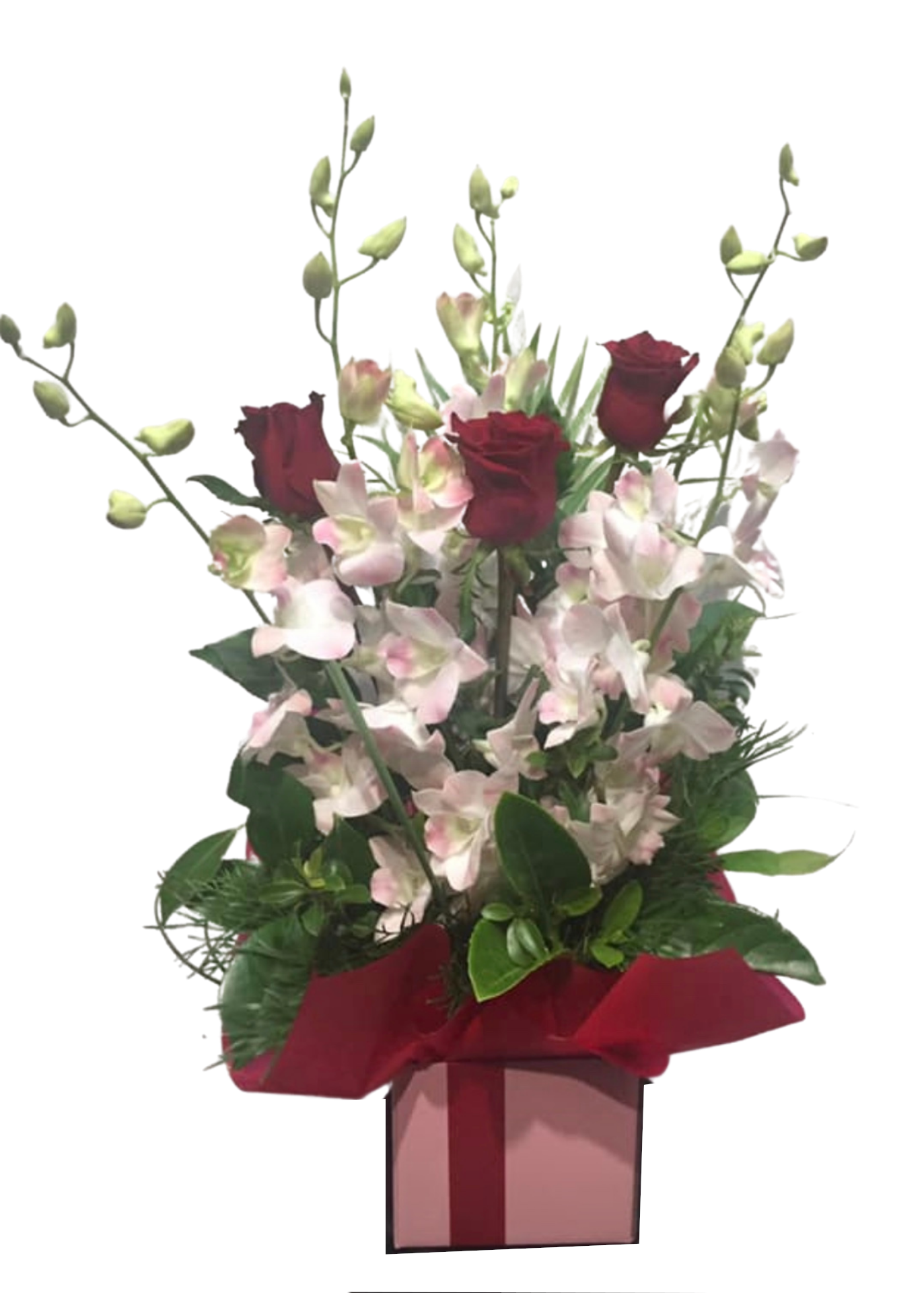 JASMINE - BOX OF SINGAPORE ORCHIDS AND ROSES