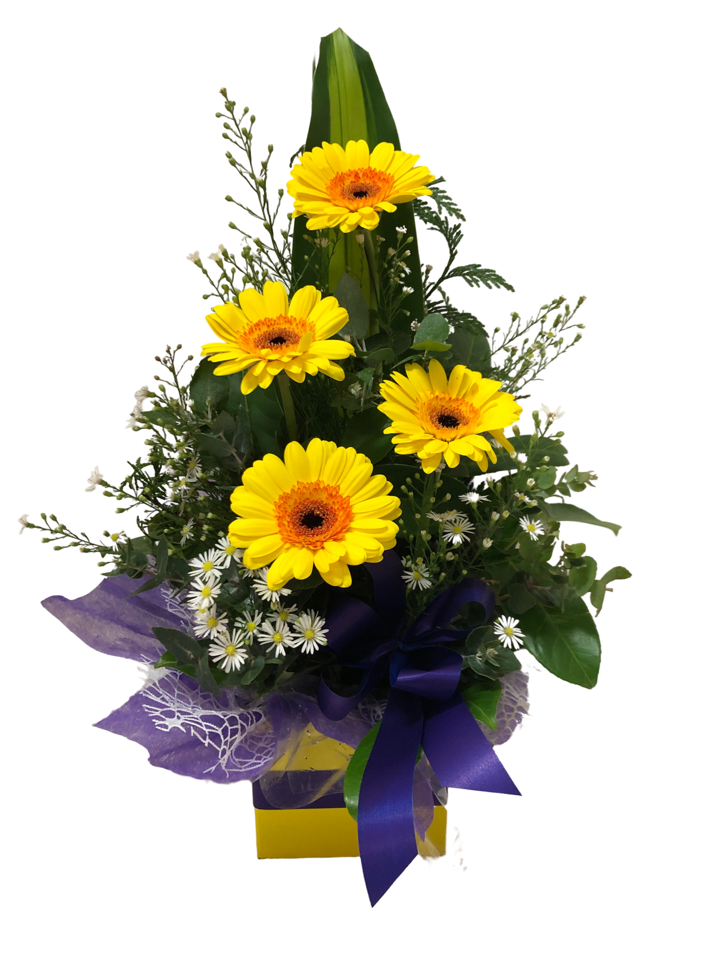 DAISY - BRIGHT BOX OF GERBRAS