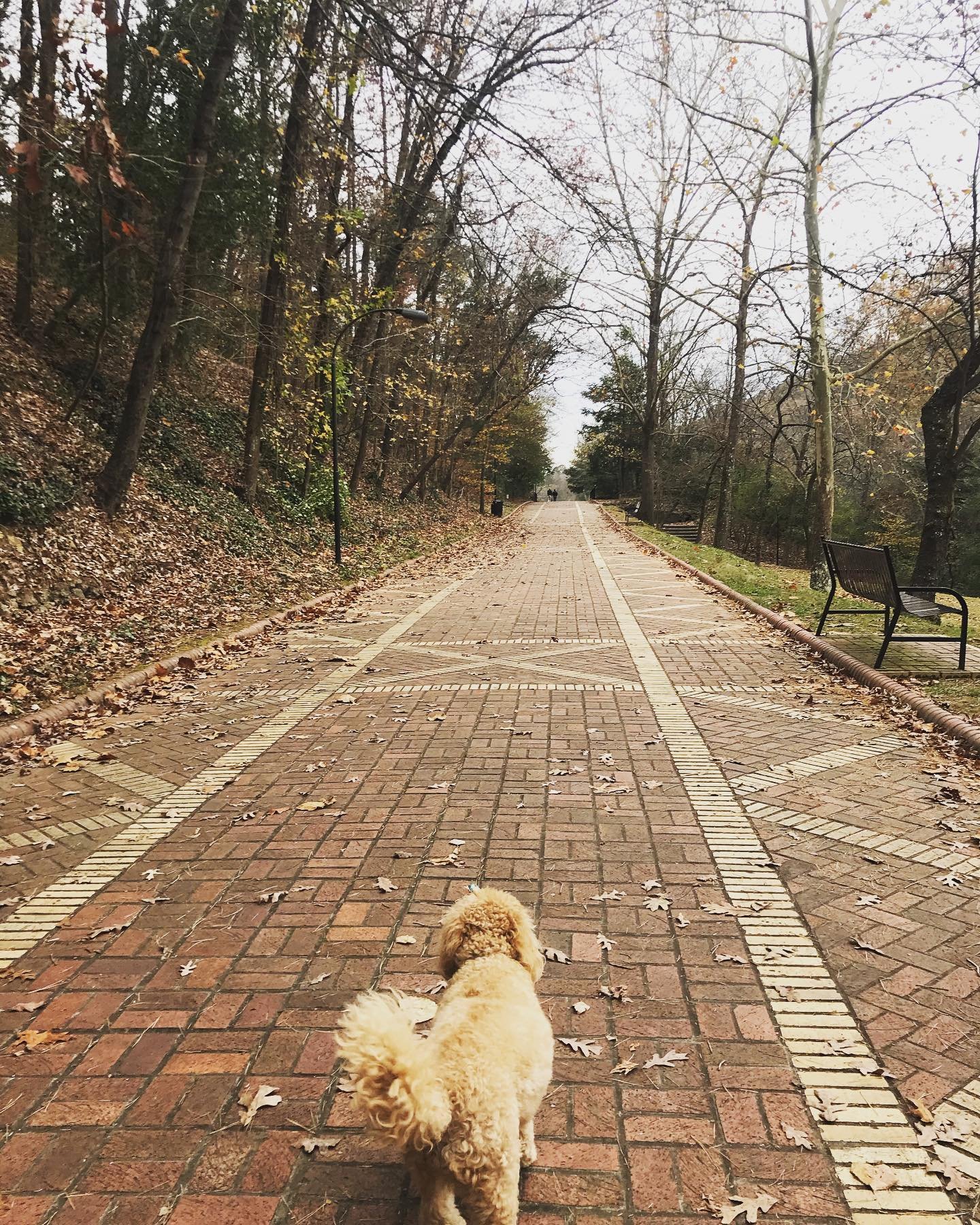 Ends and Beginnings.

It&rsquo;s been a year of unrest, worry, loss, and change. And yet, at the end I am finding myself feeling resolute and hopeful.

I&rsquo;m leaving this year with a clearer picture of who I am, what I can handle, and what I want