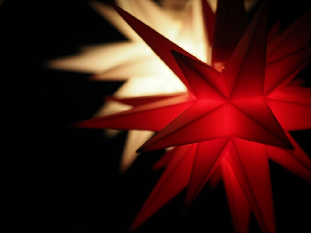 Of Giraffes And Blue Jeans And Talking Parrots