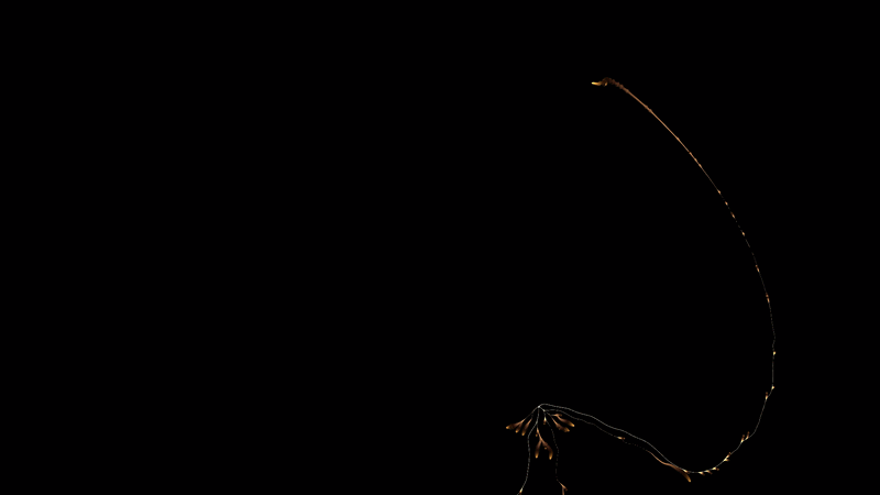 ezgif-5074acb13e44f5c1.gif