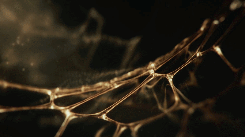 ezgif-502111110be6adba.gif