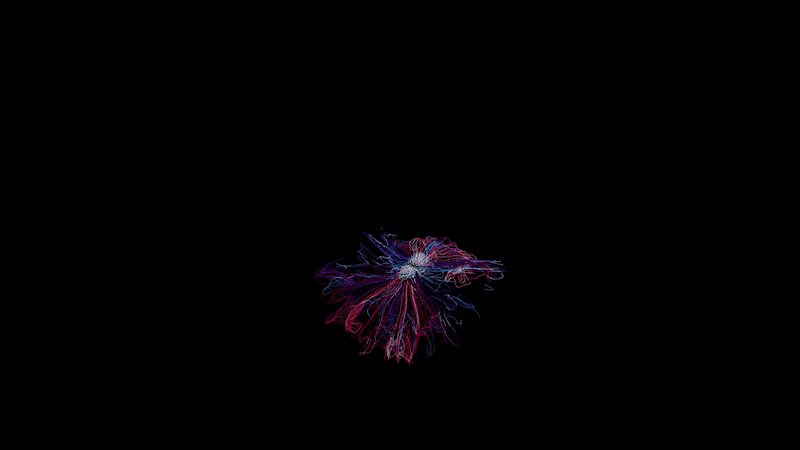 ezgif-3227efba46b2e723.gif